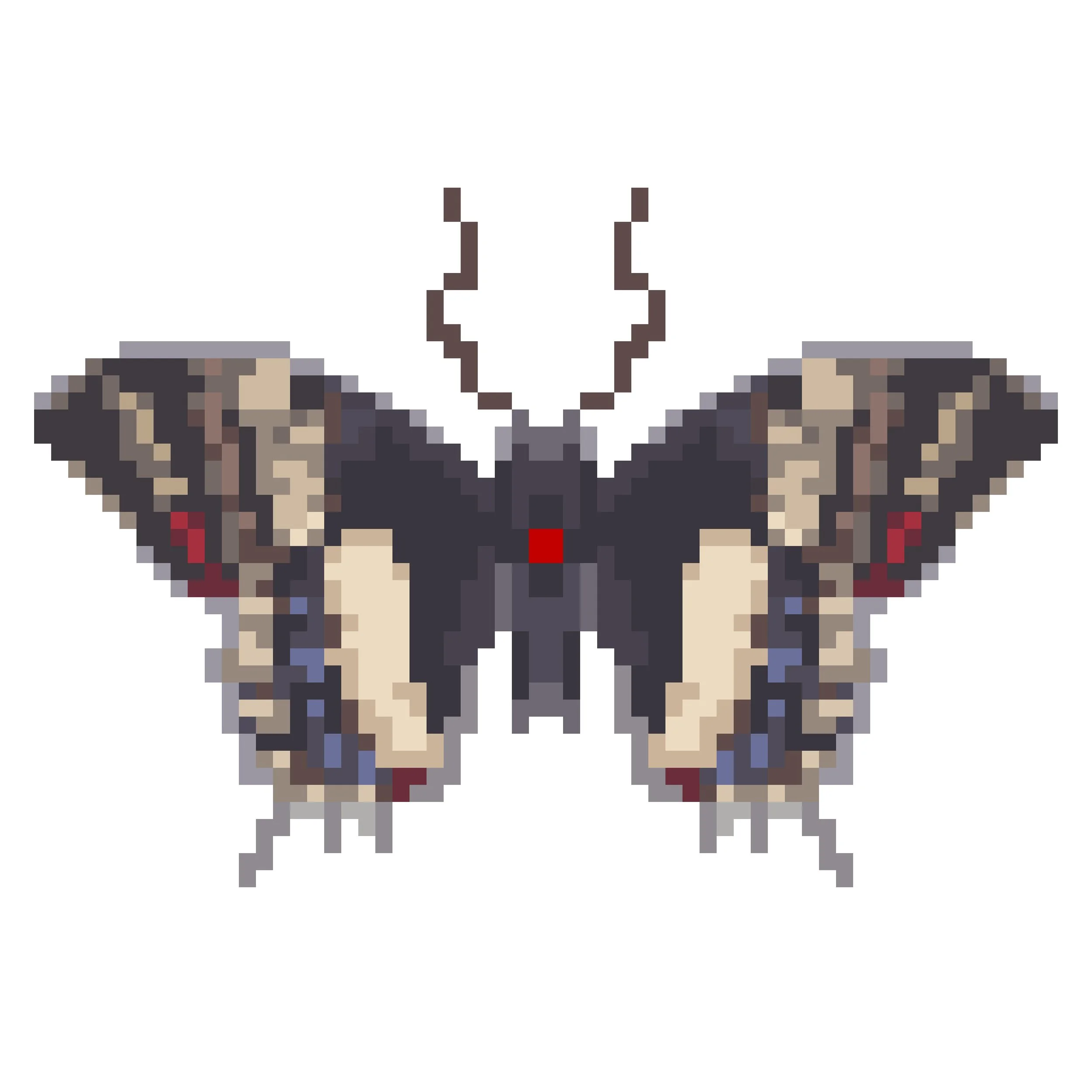 Wingpin#0781-Papilio cacicus.jpg
