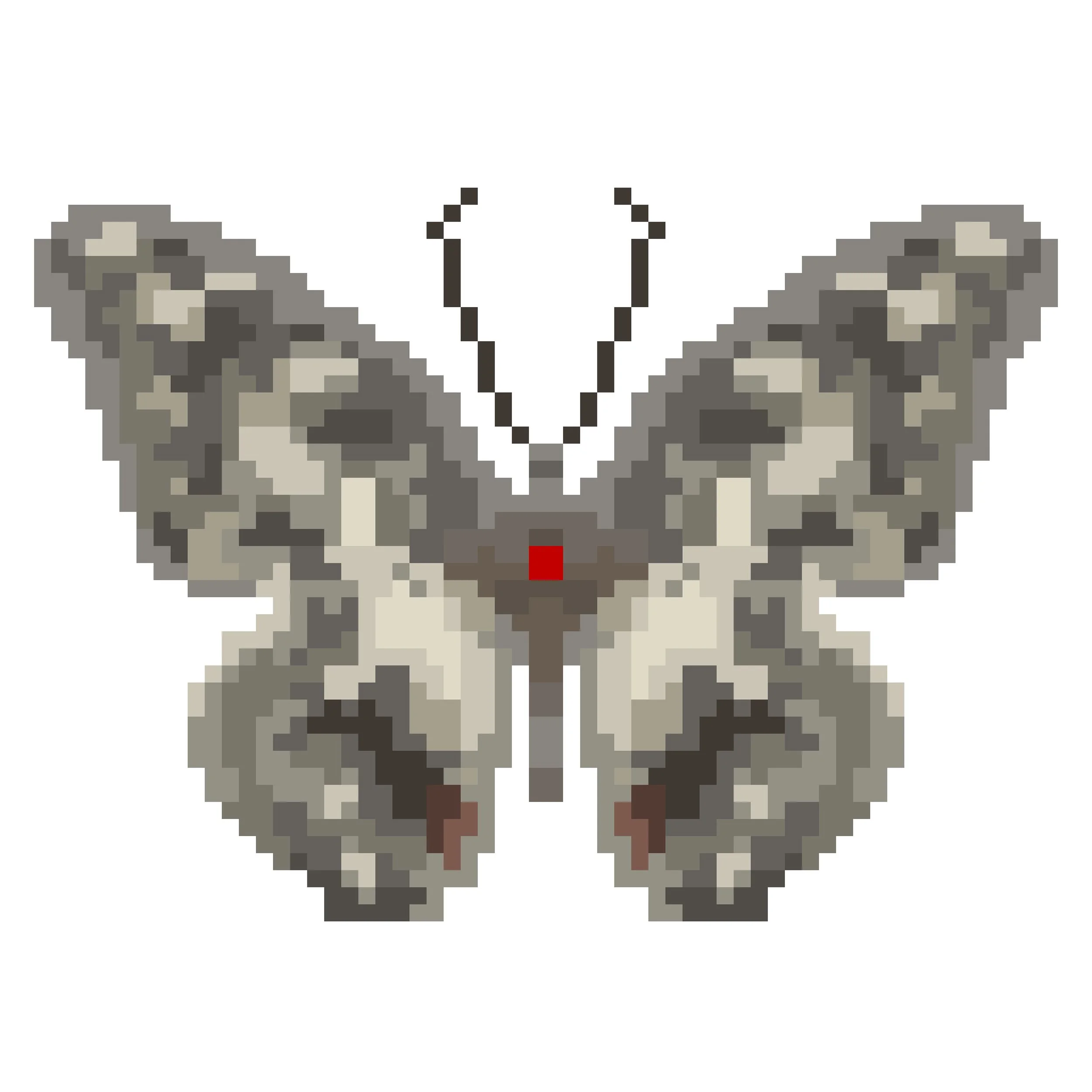 Wingpin#0369-Papilio demoleus.jpg