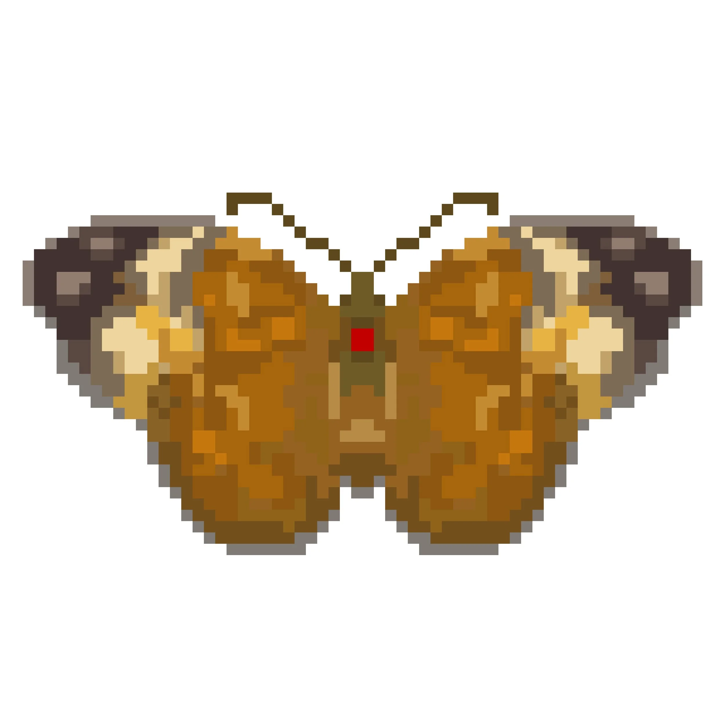 Wingpin#0389-Cupha erymanthis.jpg
