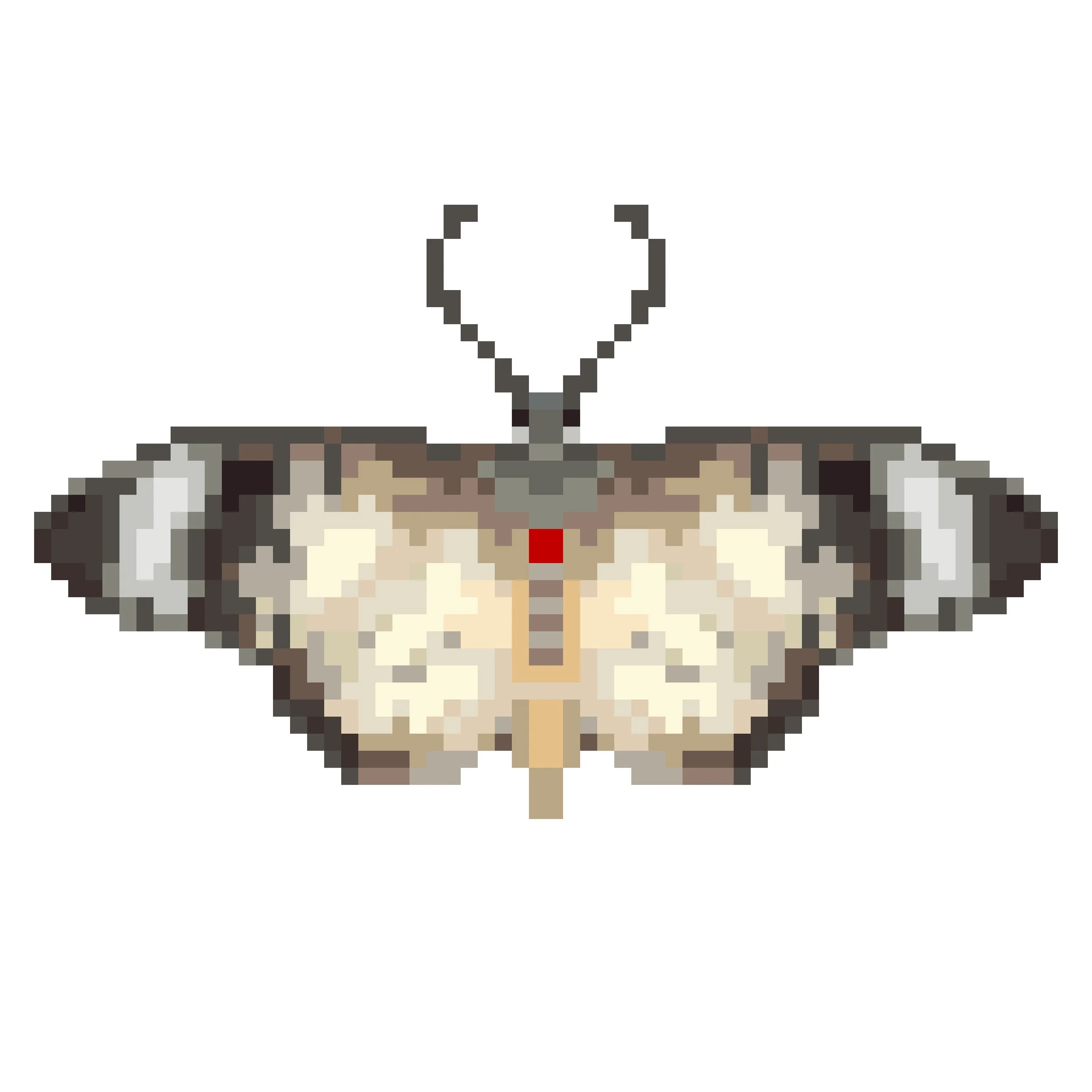 Wingpin#0142-Acraea encedon.jpg