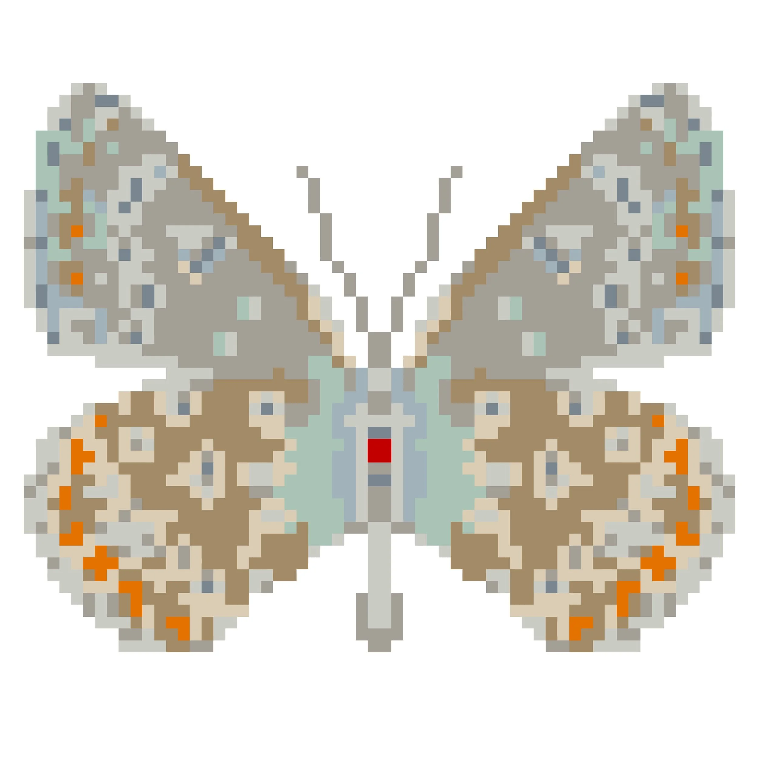 Wingpin#0032-Polyommatus icarus.jpg