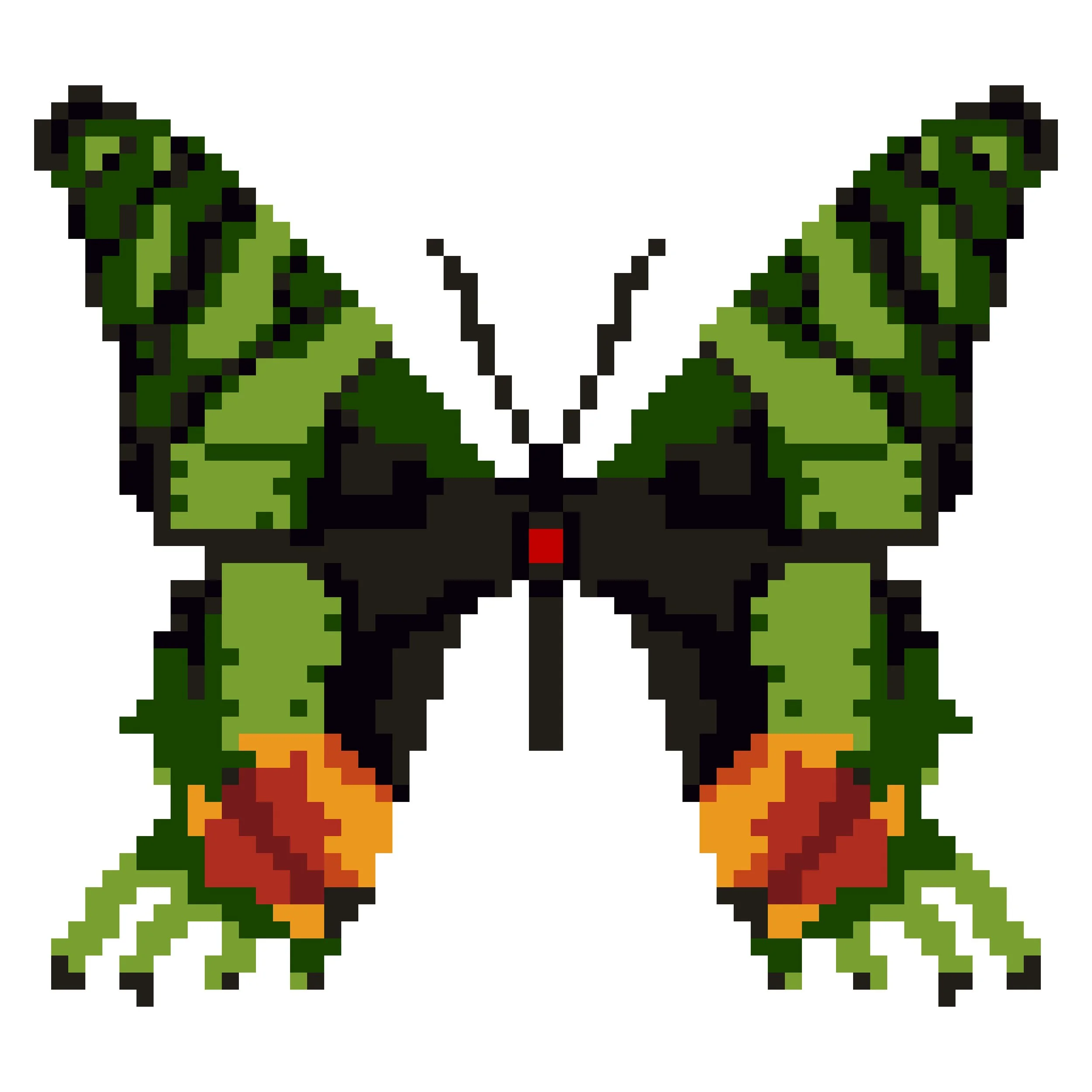 Wingpin#0017-Urania ripheus.jpg