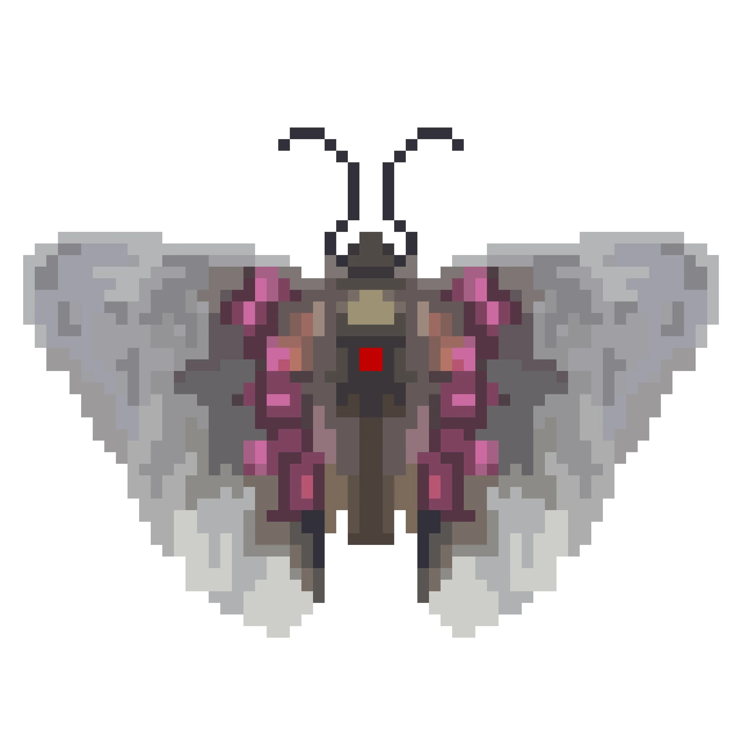 Wingpin#0784-Lyropteryx lyra.jpg
