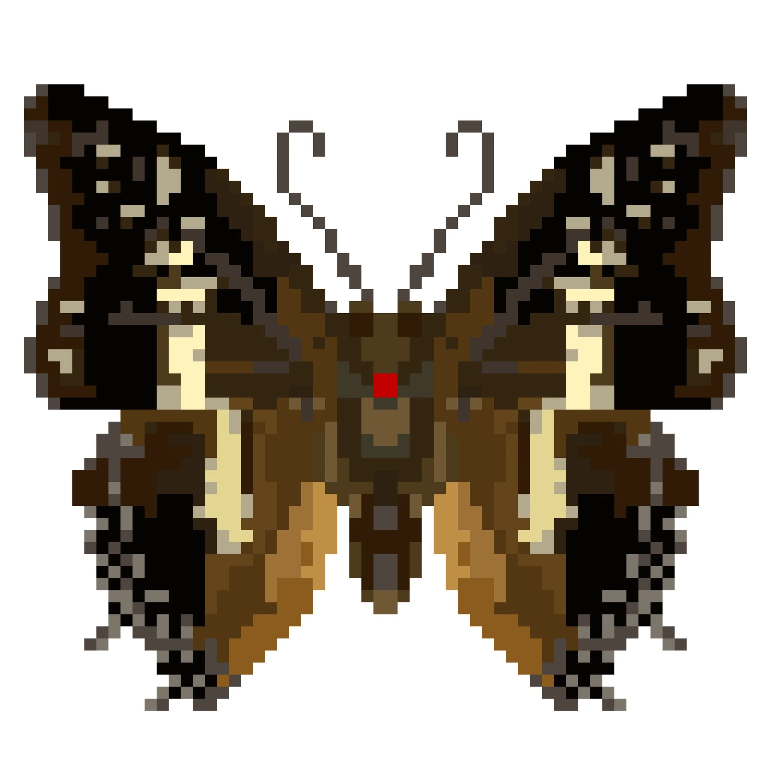 Wingpin#0449-Charaxes solon.jpg