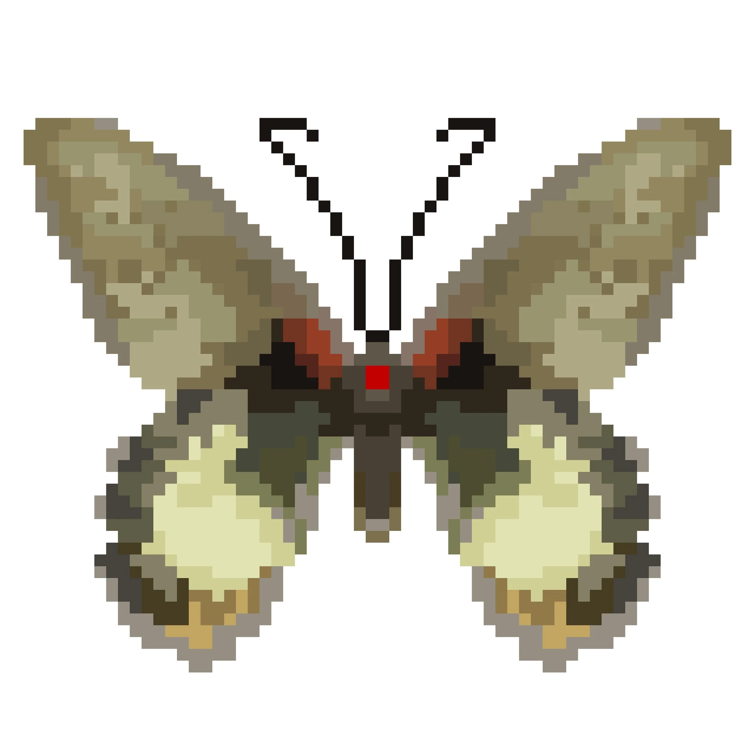 Wingpin#0893-Papilio memnon agenor.jpg