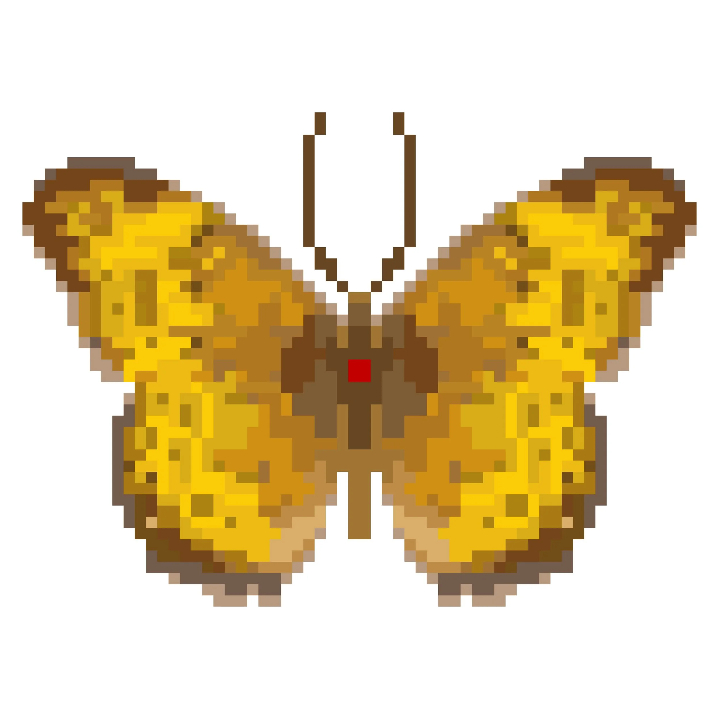 Wingpin#0363-Argynnis hyperbius.jpg
