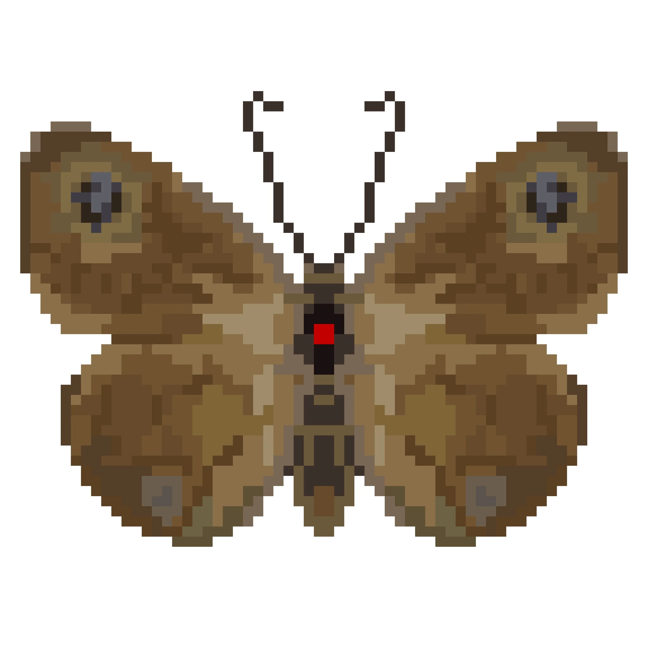 Wingpin#0318-Ypthima asterope.jpg