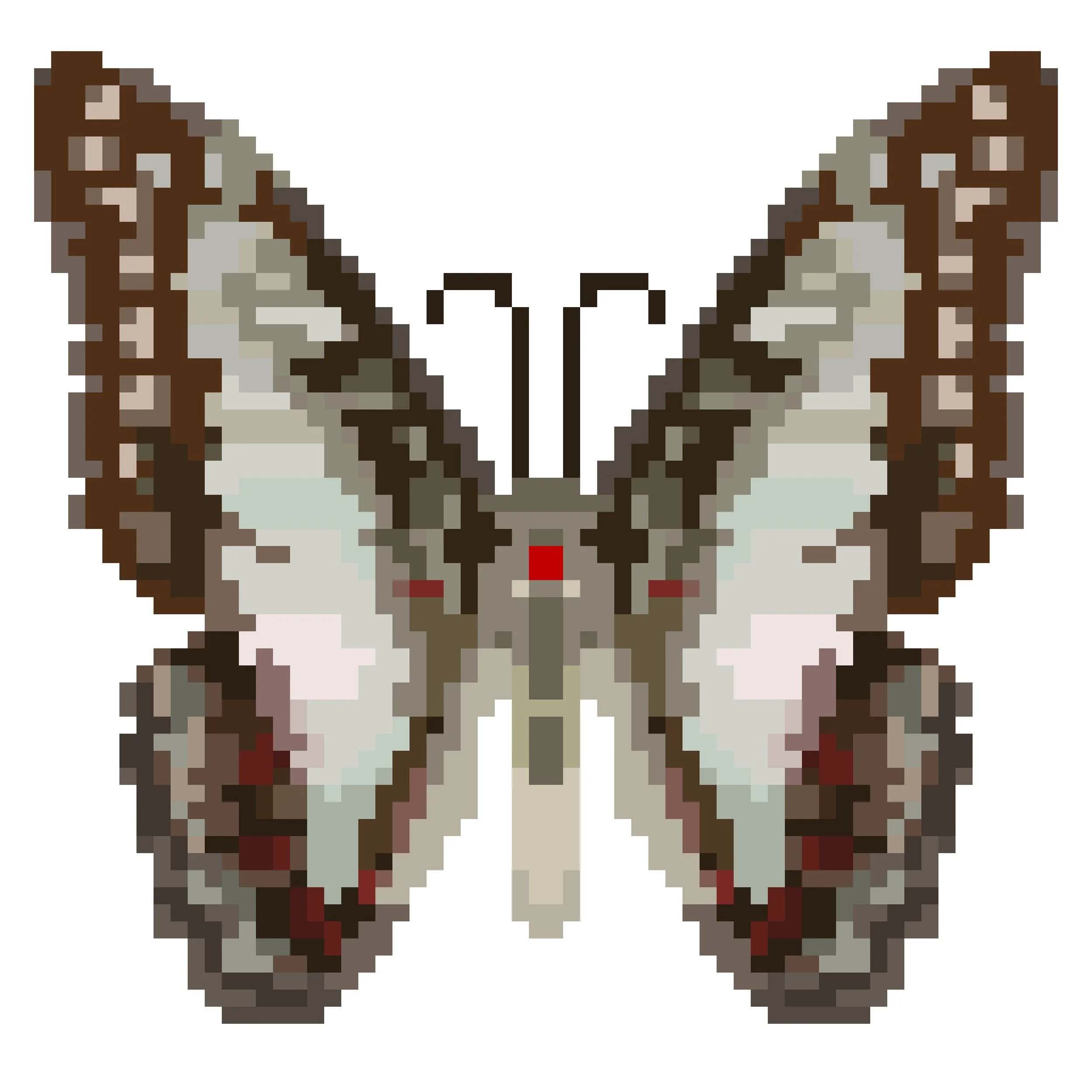 Wingpin#0589-Graphium eurypylus.jpg