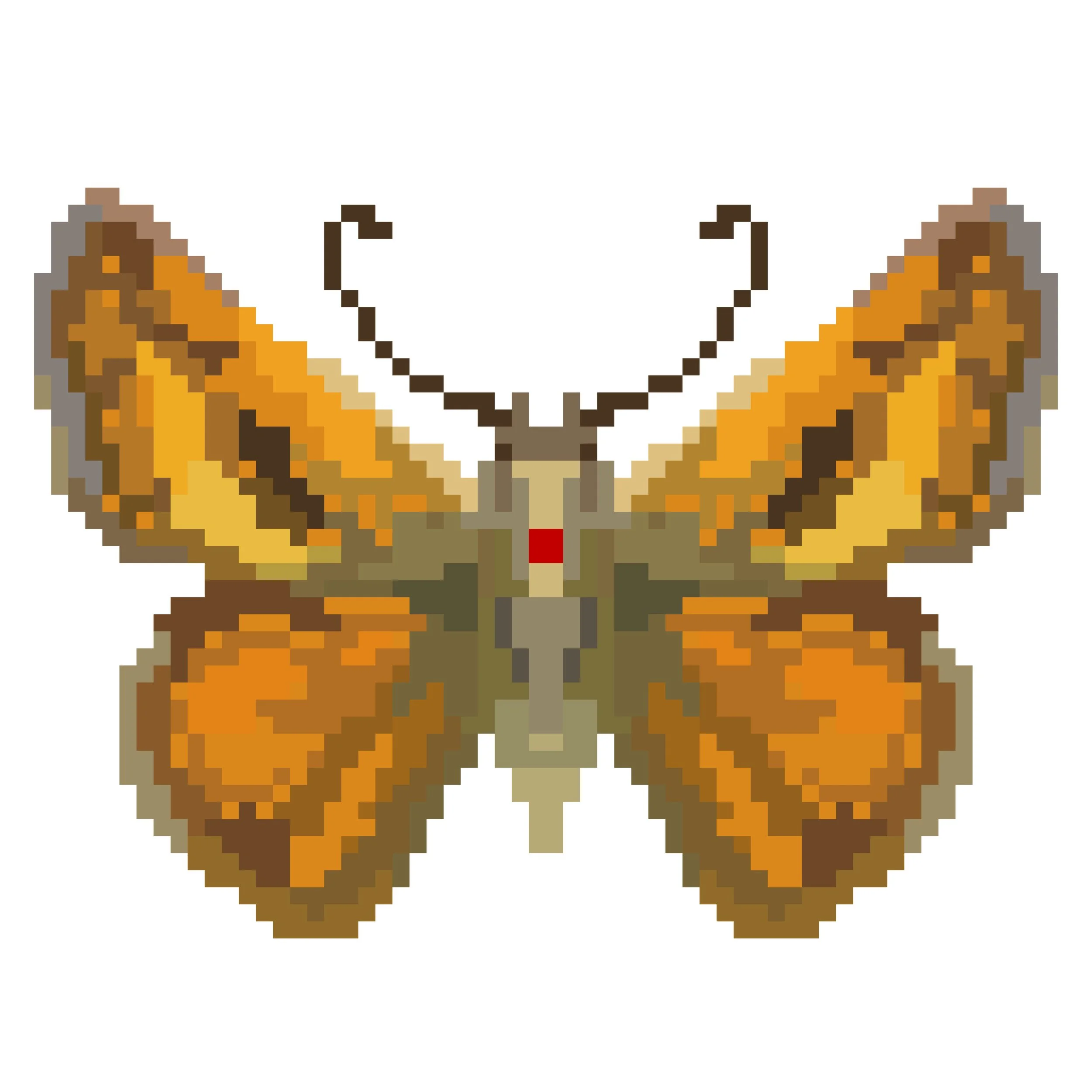 Wingpin#0565-Polites vibex.jpg