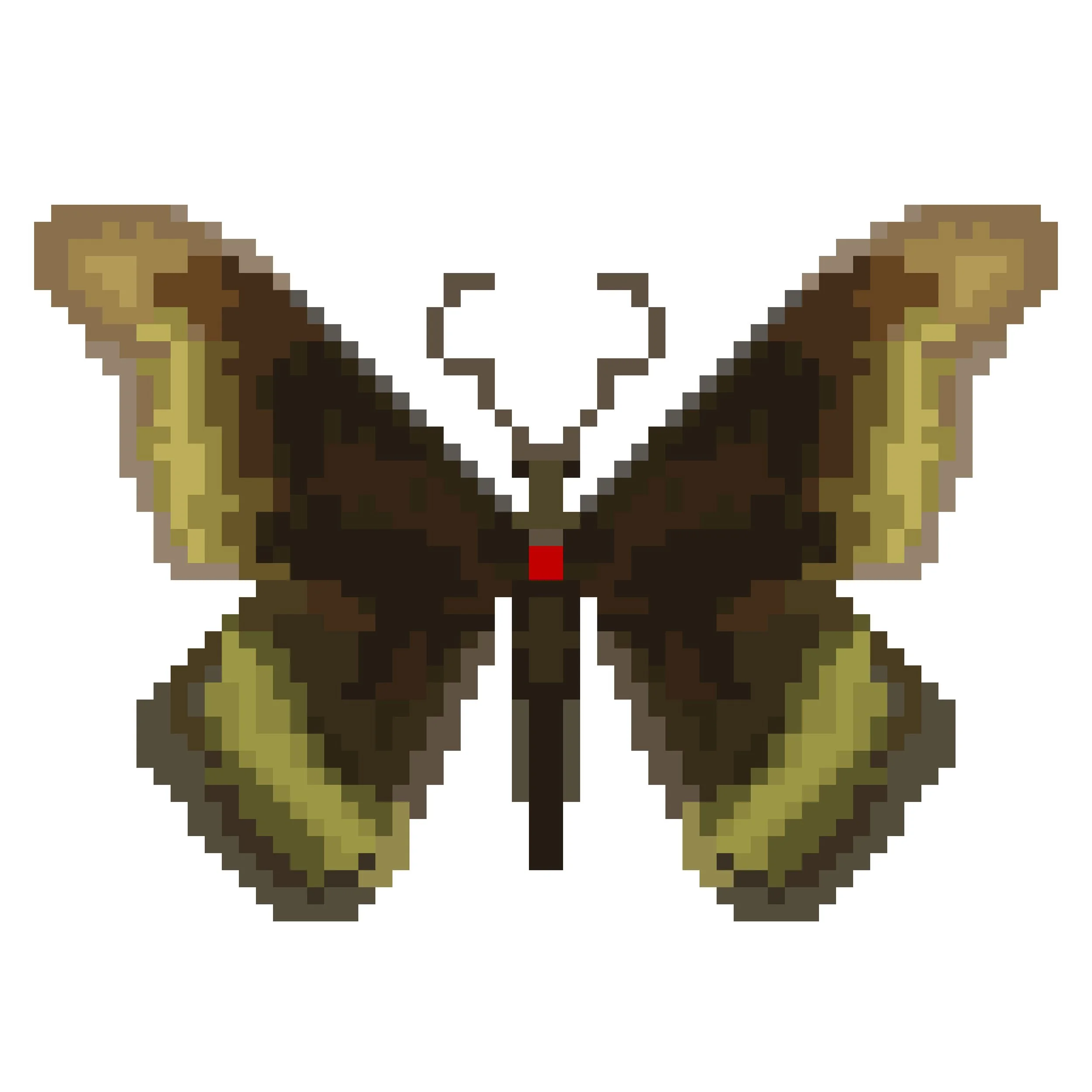 Wingpin#0912-Battus polydamas.jpg