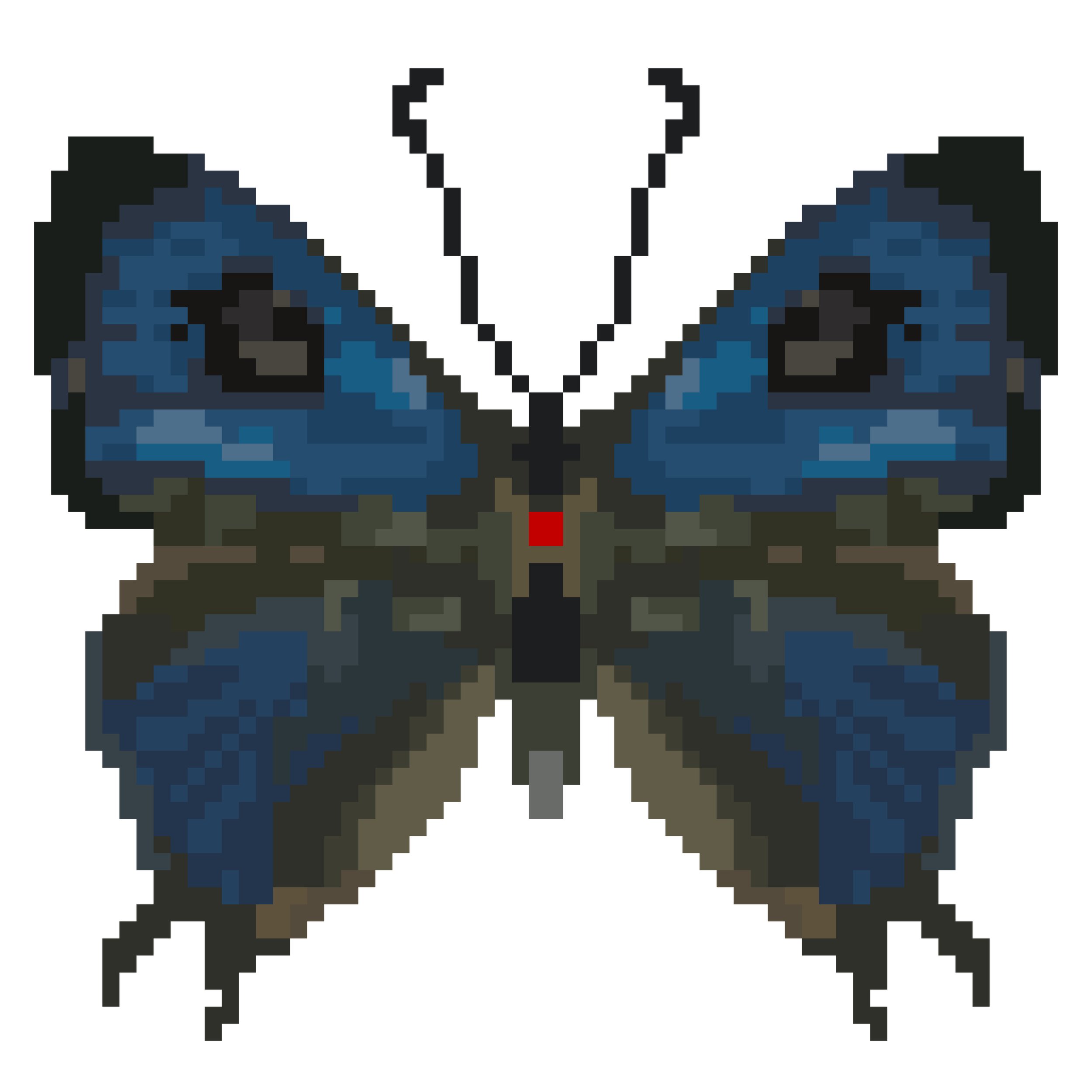 Wingpin#0742-Hypolycaena phorbas.jpg