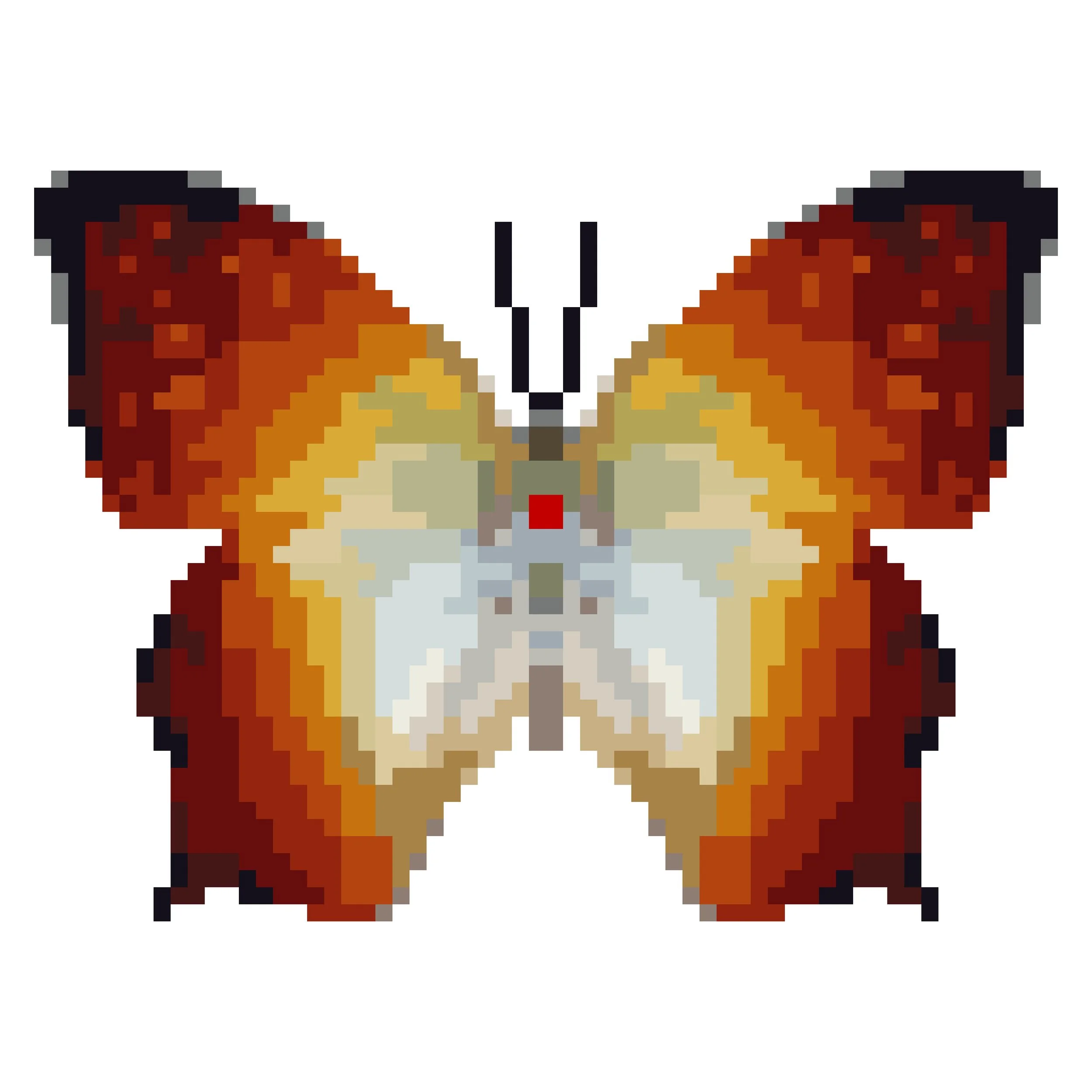 Wingpin#0130-Charaxes fulvescens.jpg