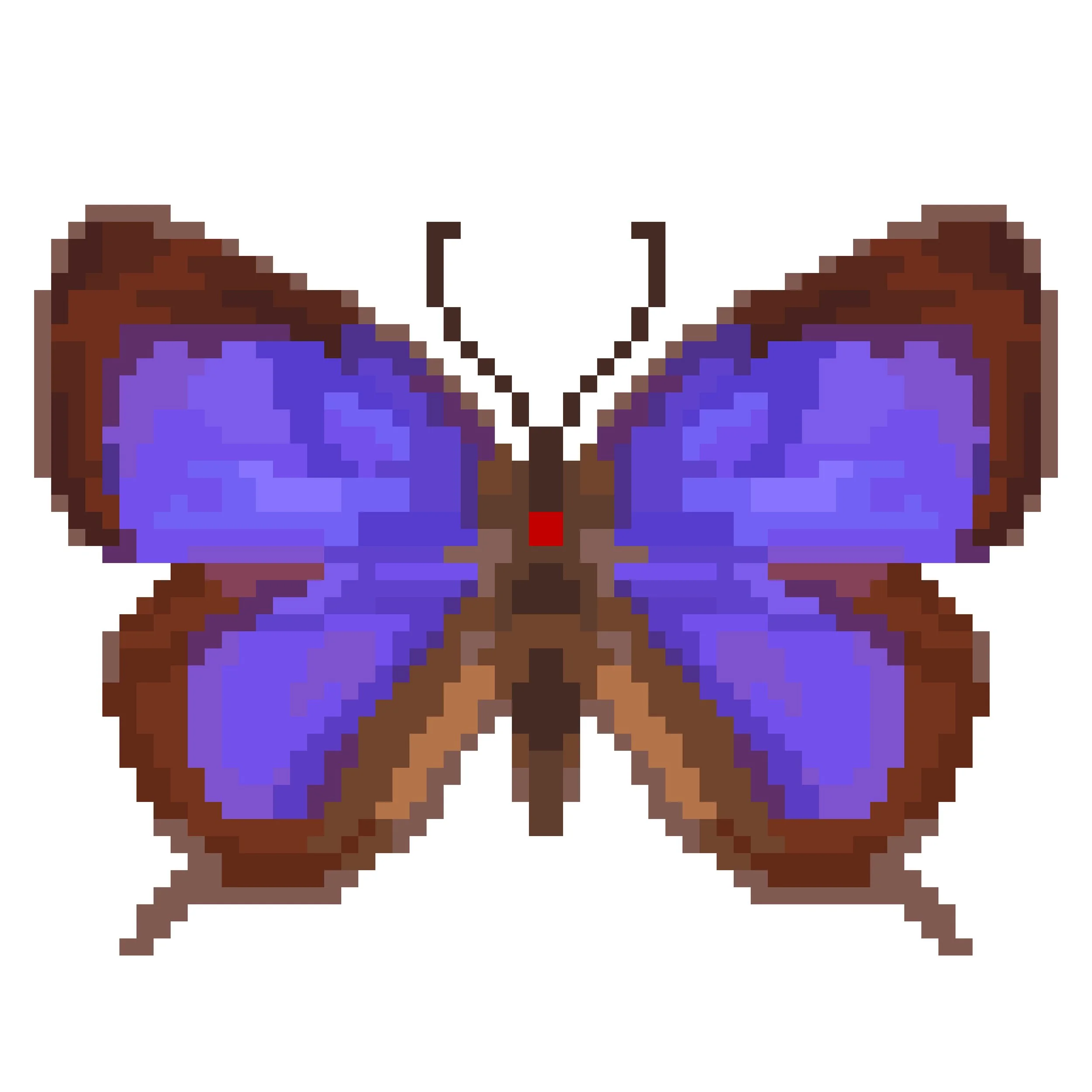 Wingpin#0428-Arhopala zambra.jpg