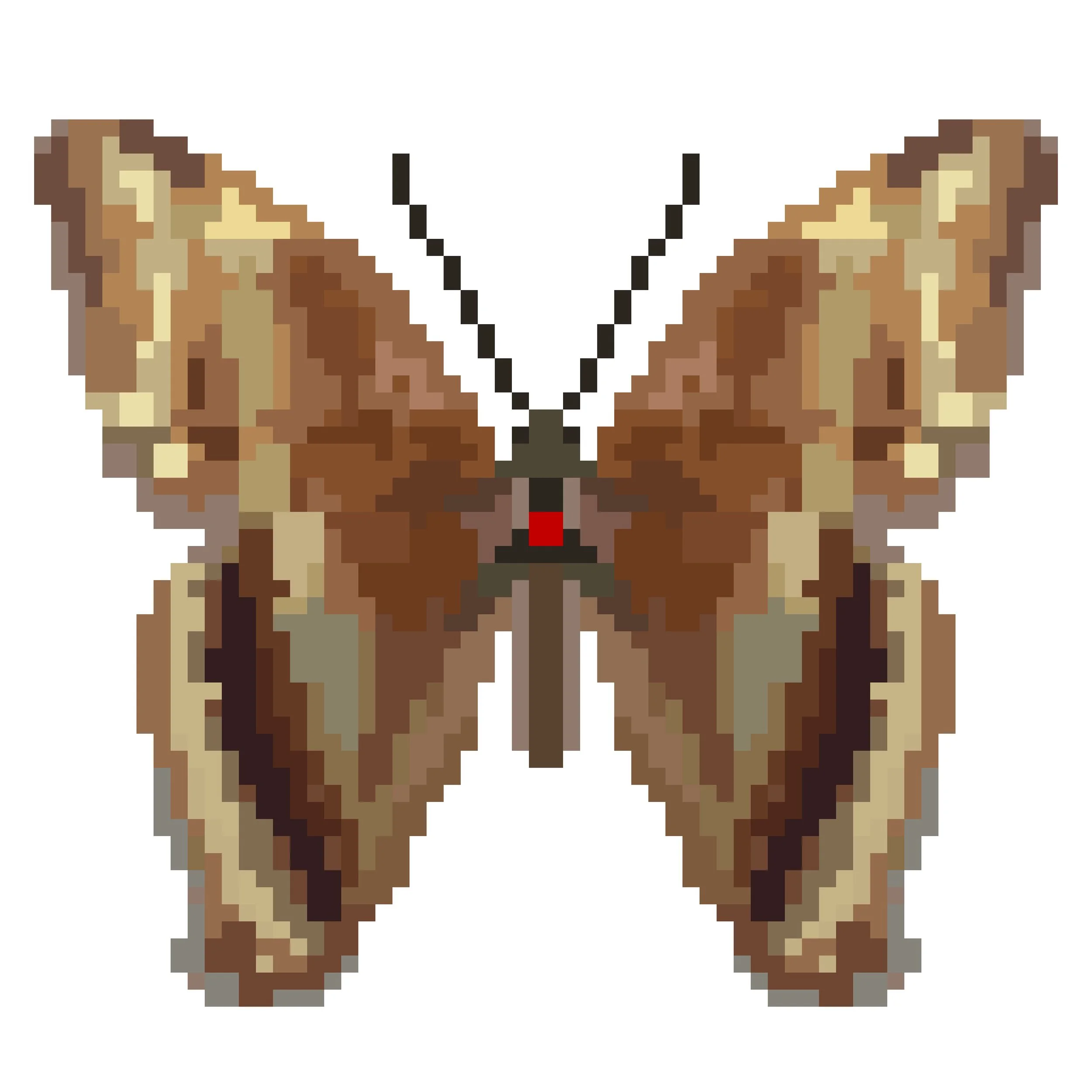 Wingpin#0829-Papilio aristophontes.jpg