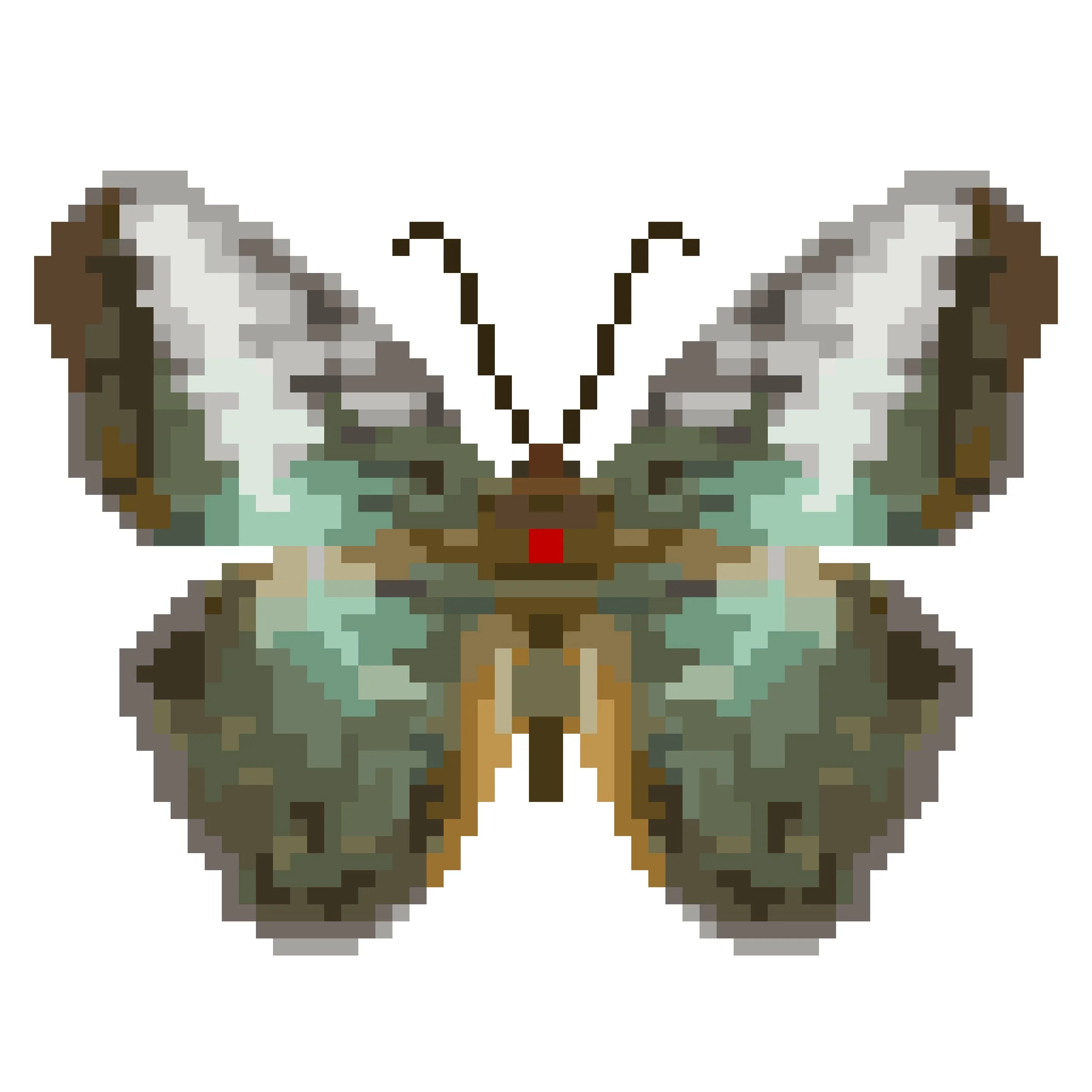 Wingpin#0293-Parthenos sylvia.jpg
