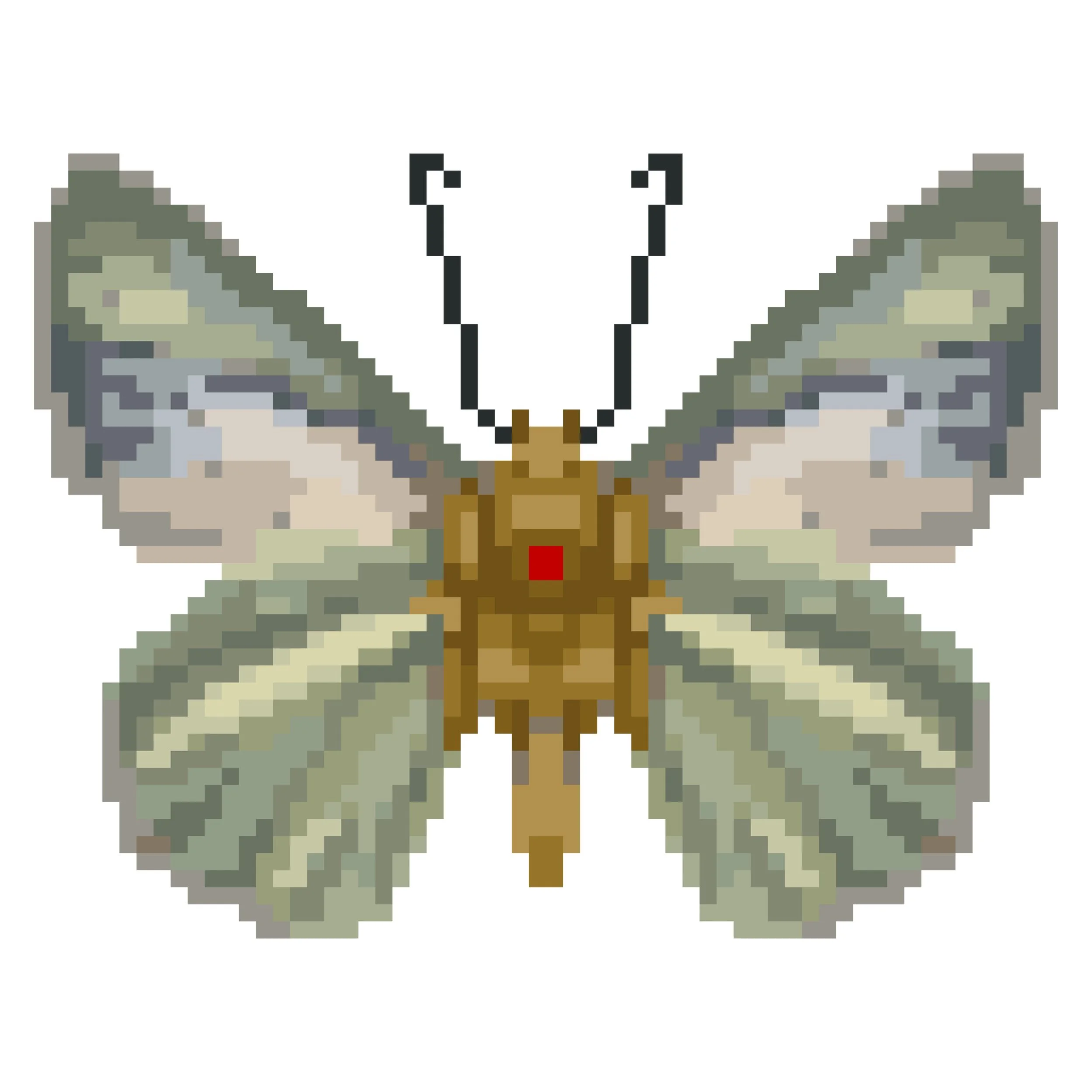 Wingpin#0300-Bibasis gomata.jpg
