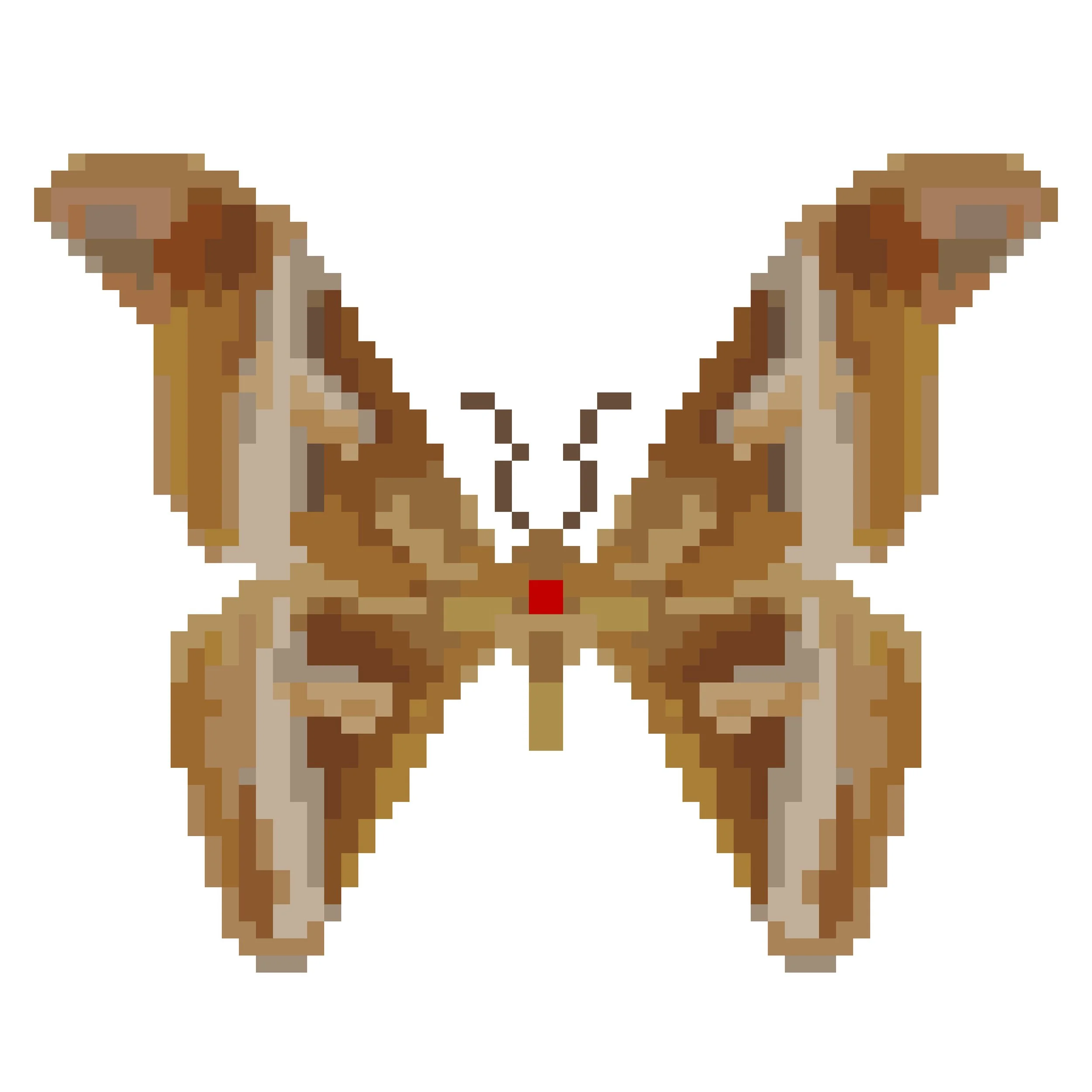 Wingpin#0745-Samia insularis.jpg