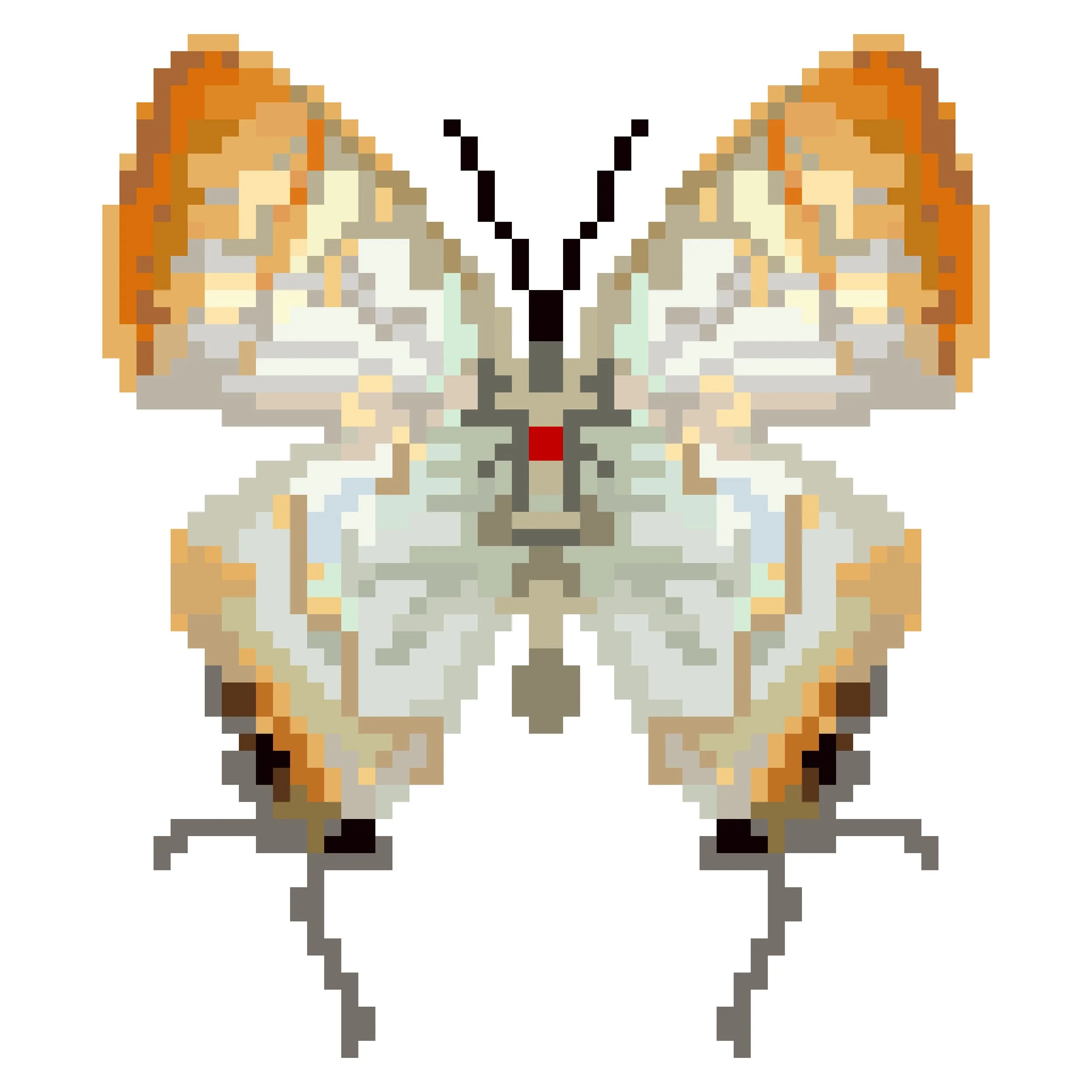 Wingpin#0810-Hypolycaena thecloides.jpg