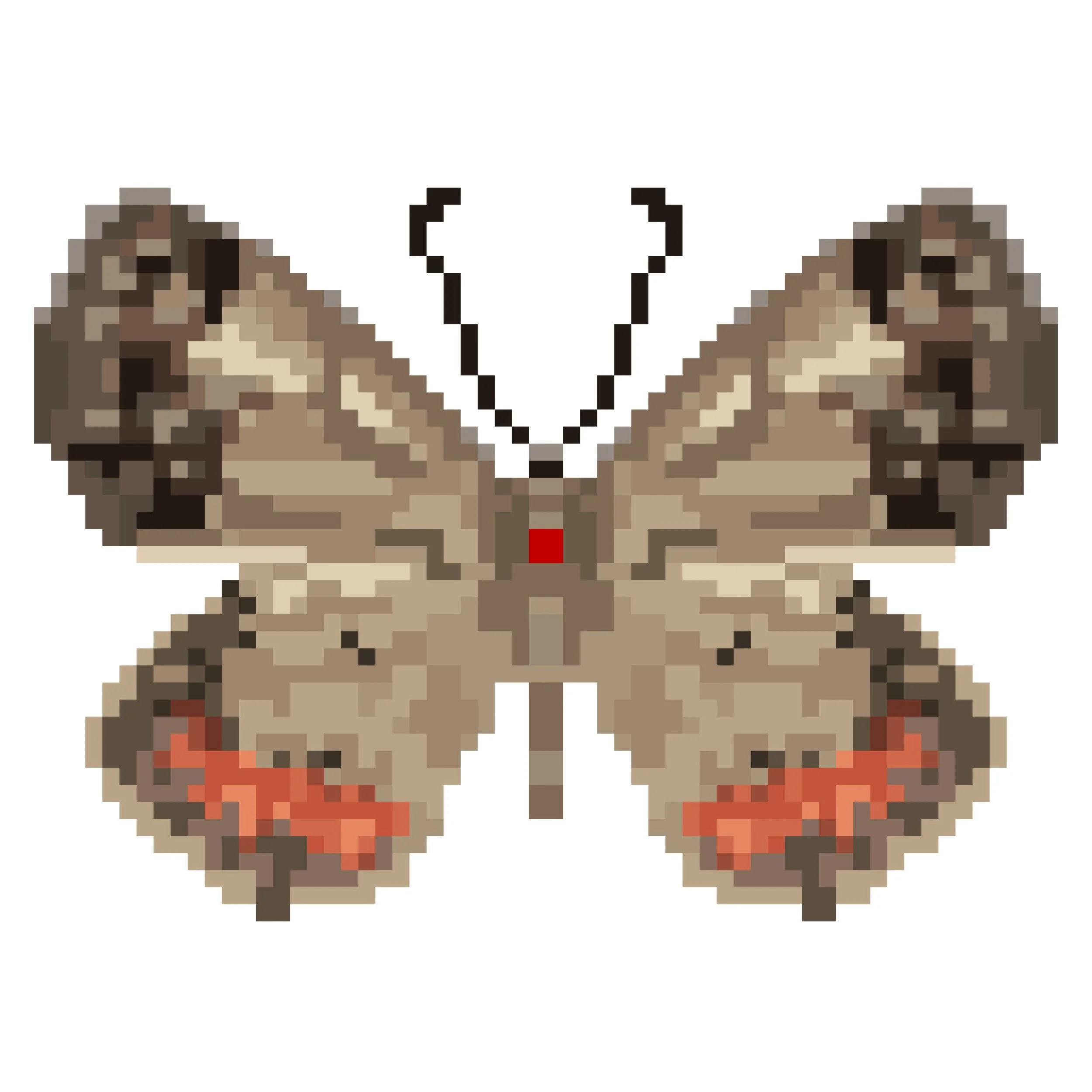 Wingpin#0286-Talicada nyseus.jpg
