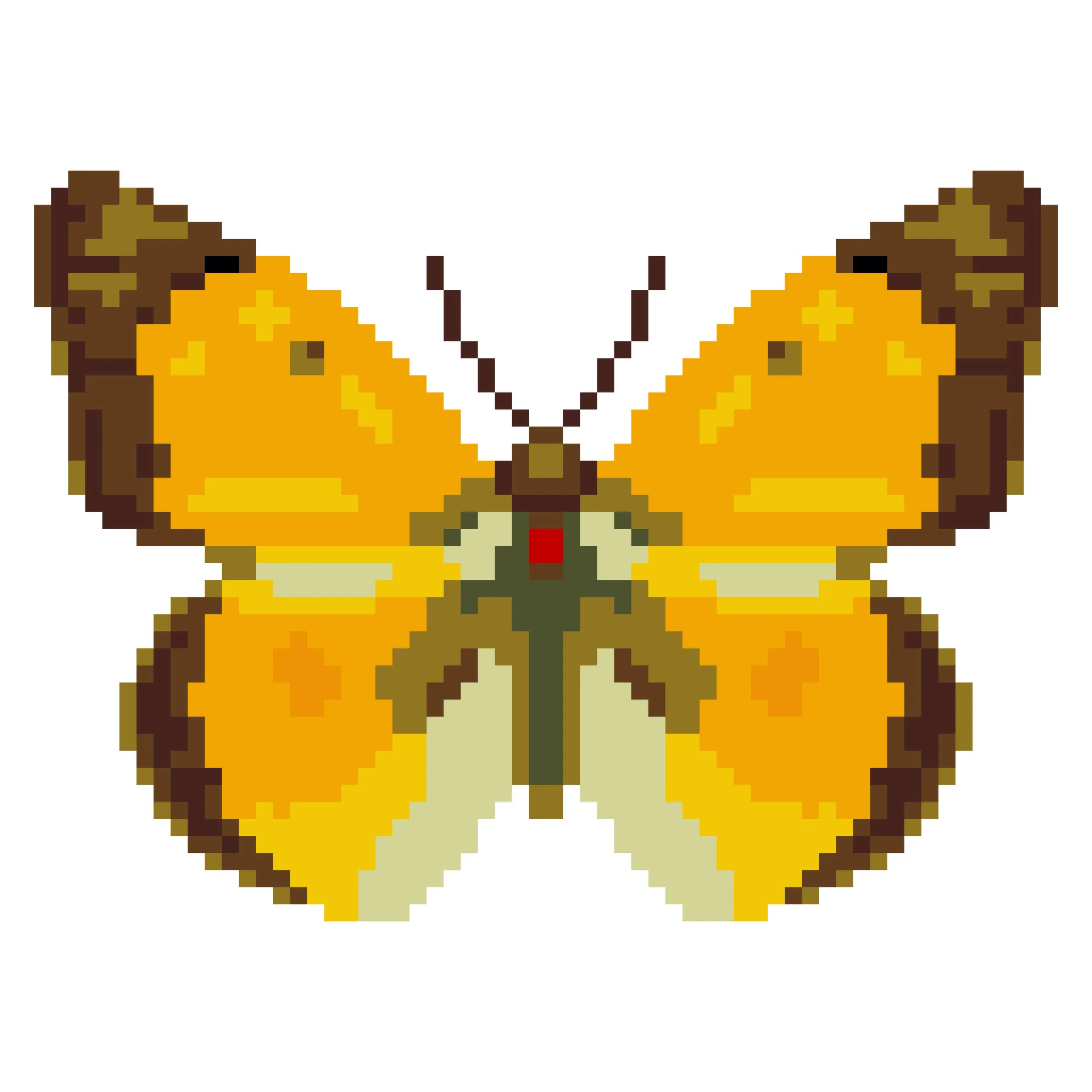 Wingpin#0034-Colias croceus.jpg