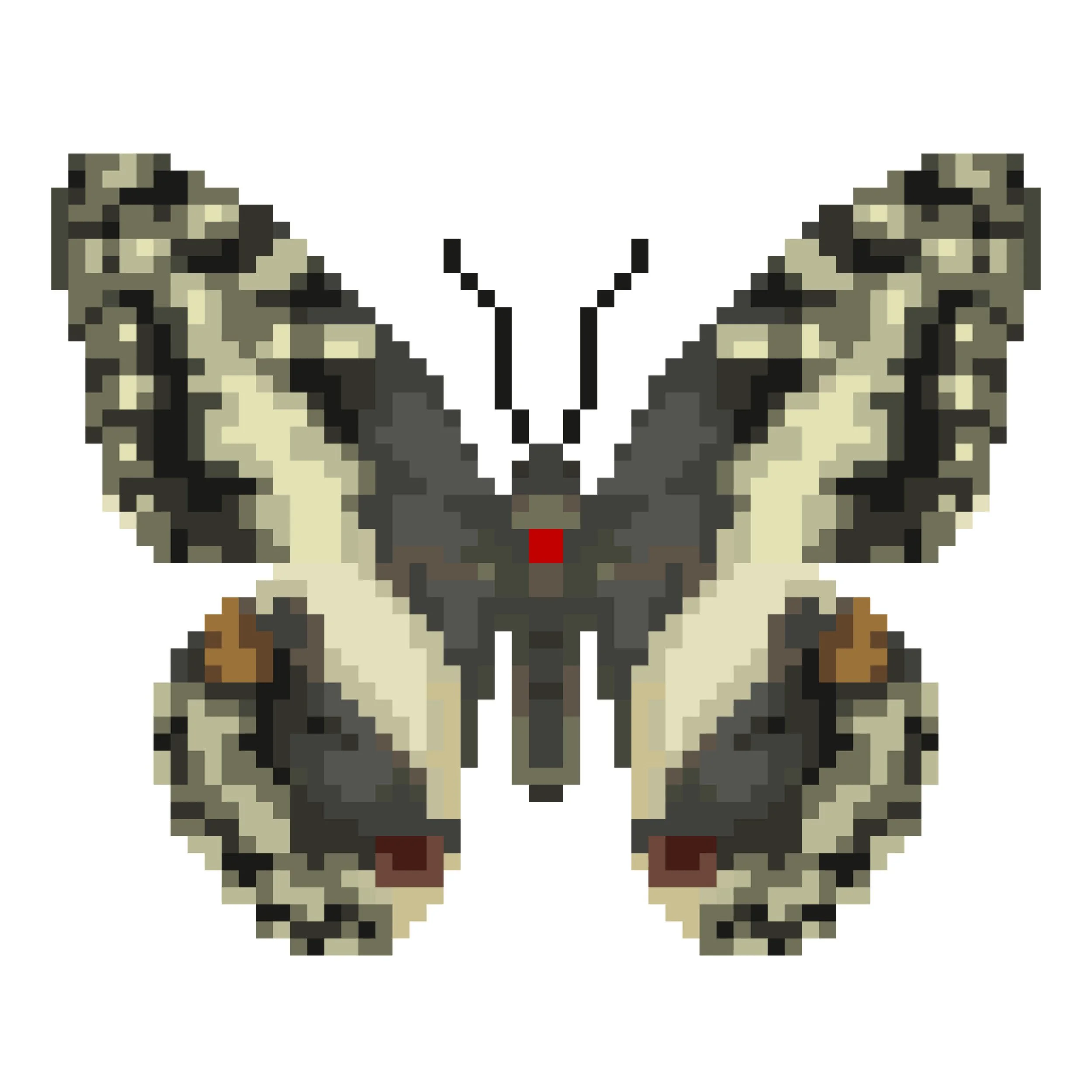 Wingpin#0154-Papilio demodocus.jpg