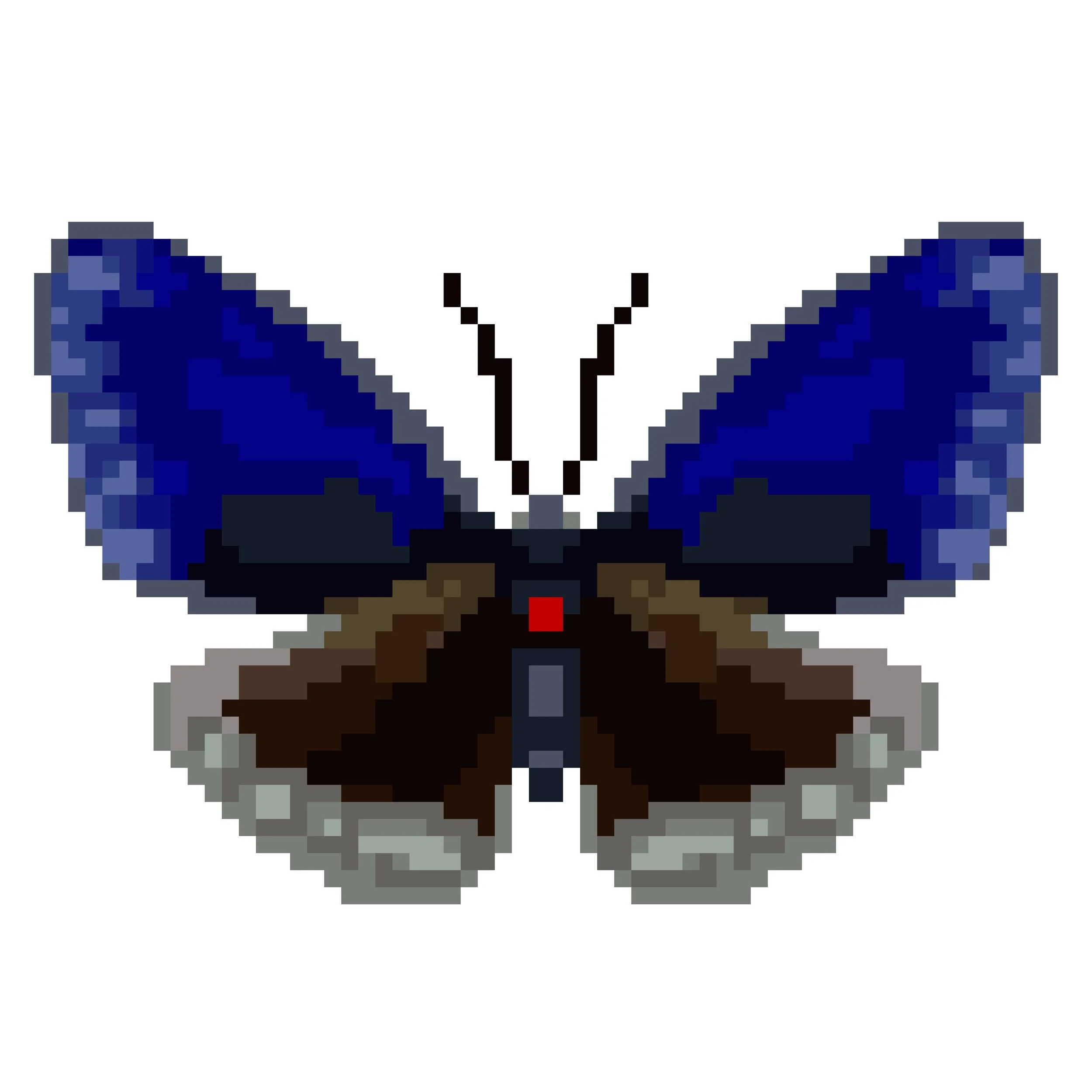Wingpin#0234-Euploea sylvester harrisii.jpg