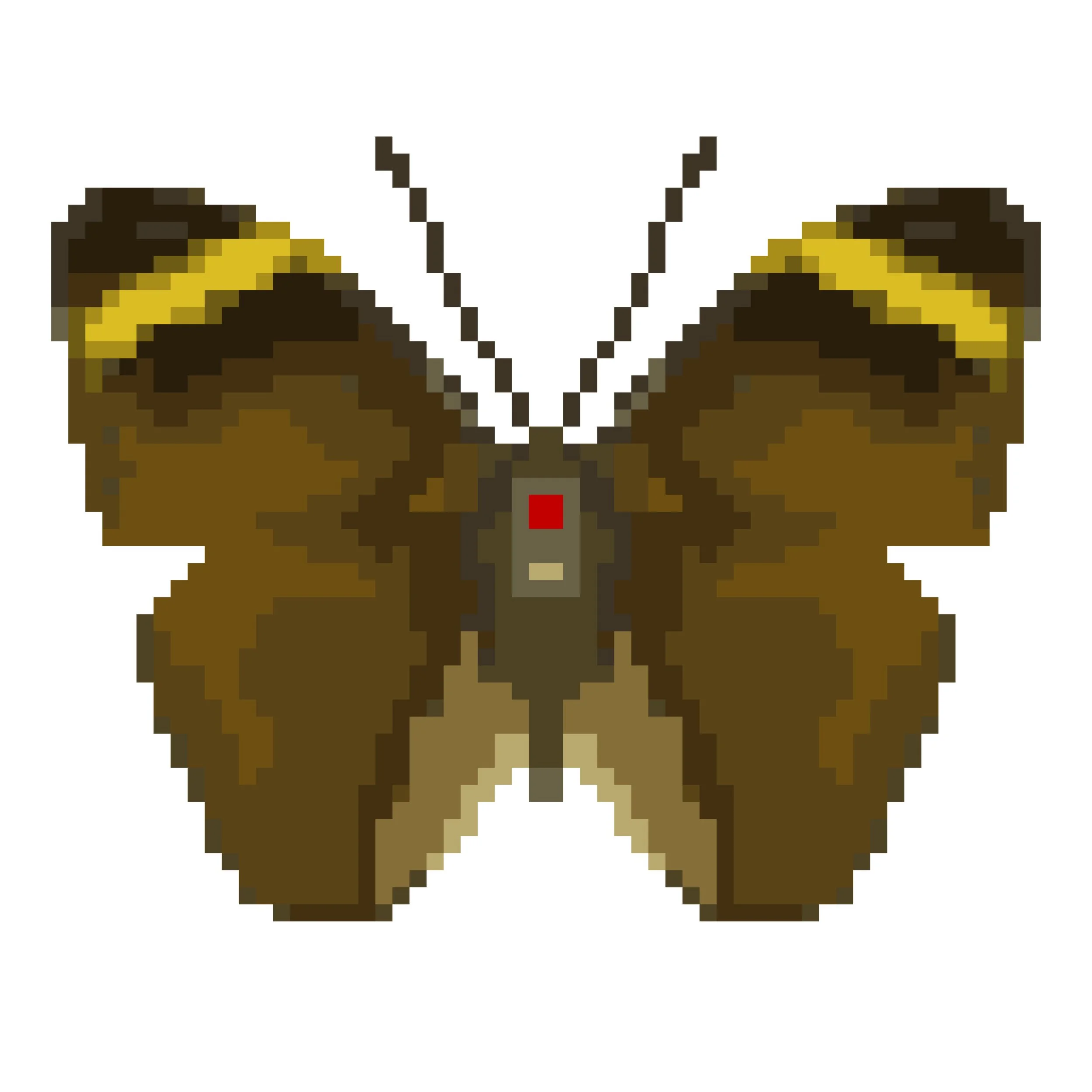 Wingpin#0088-Euphaedra harpalyce spatiosa.jpg