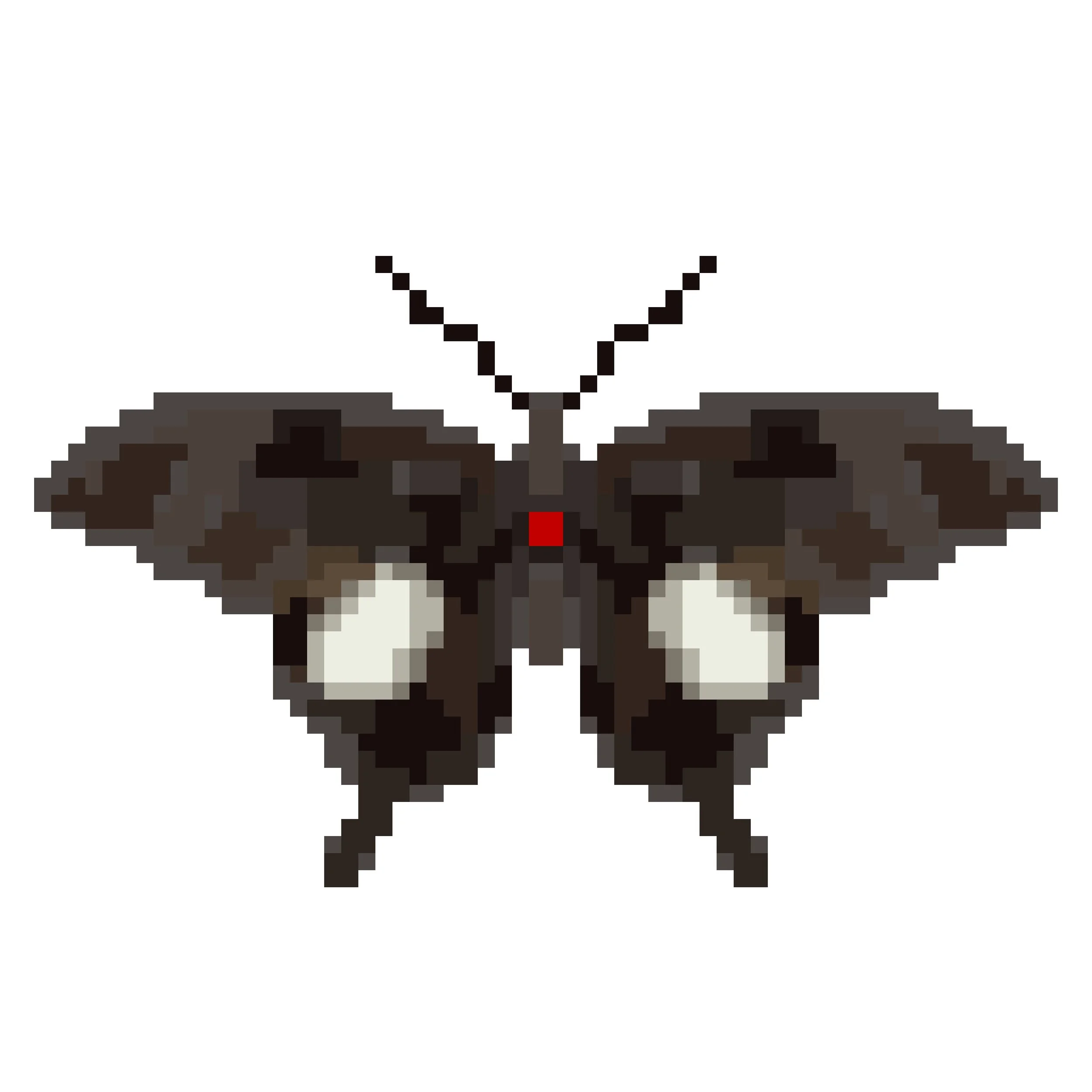 Wingpin#0378-Papilio nephelus.jpg