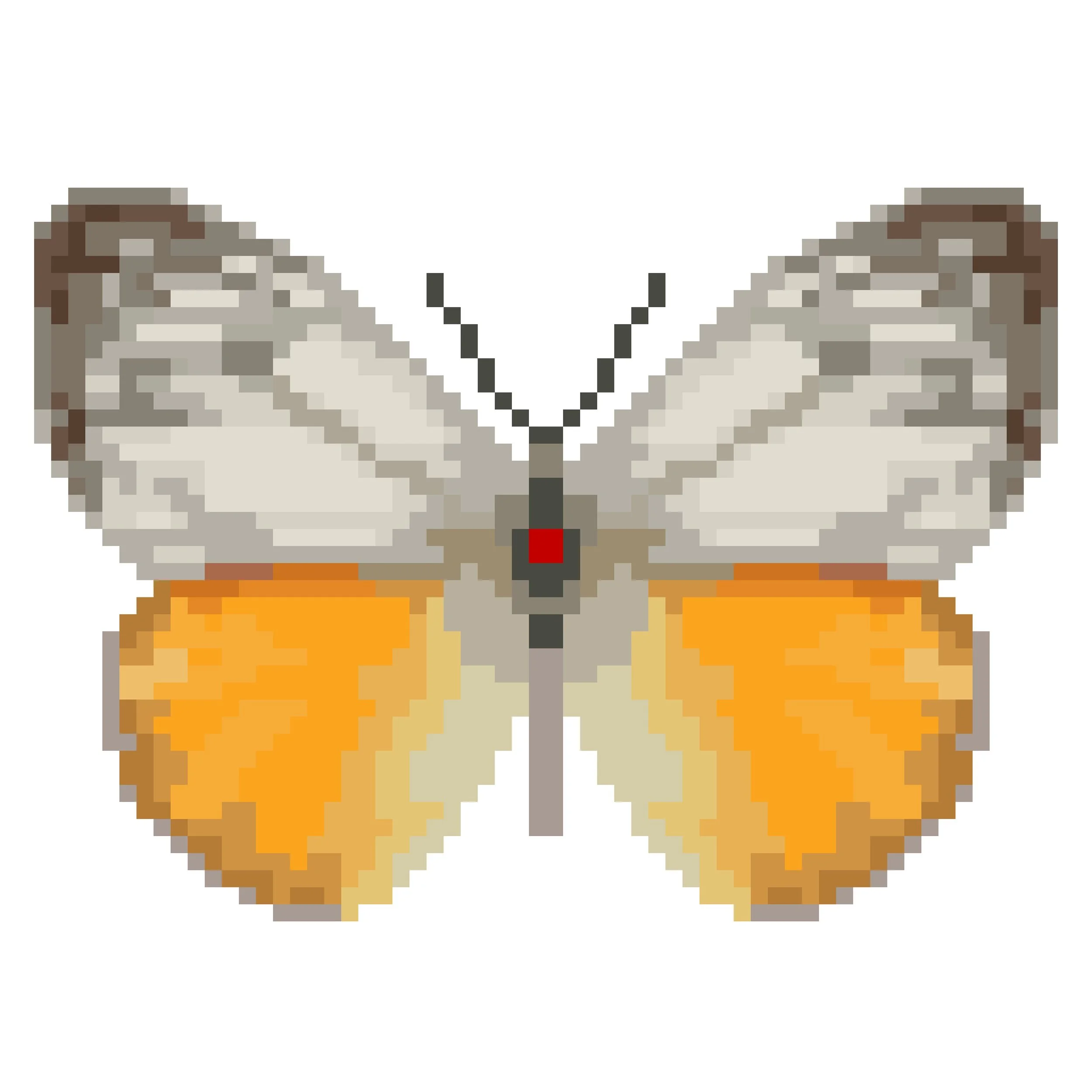 Wingpin#0397-Cepora judith.jpg
