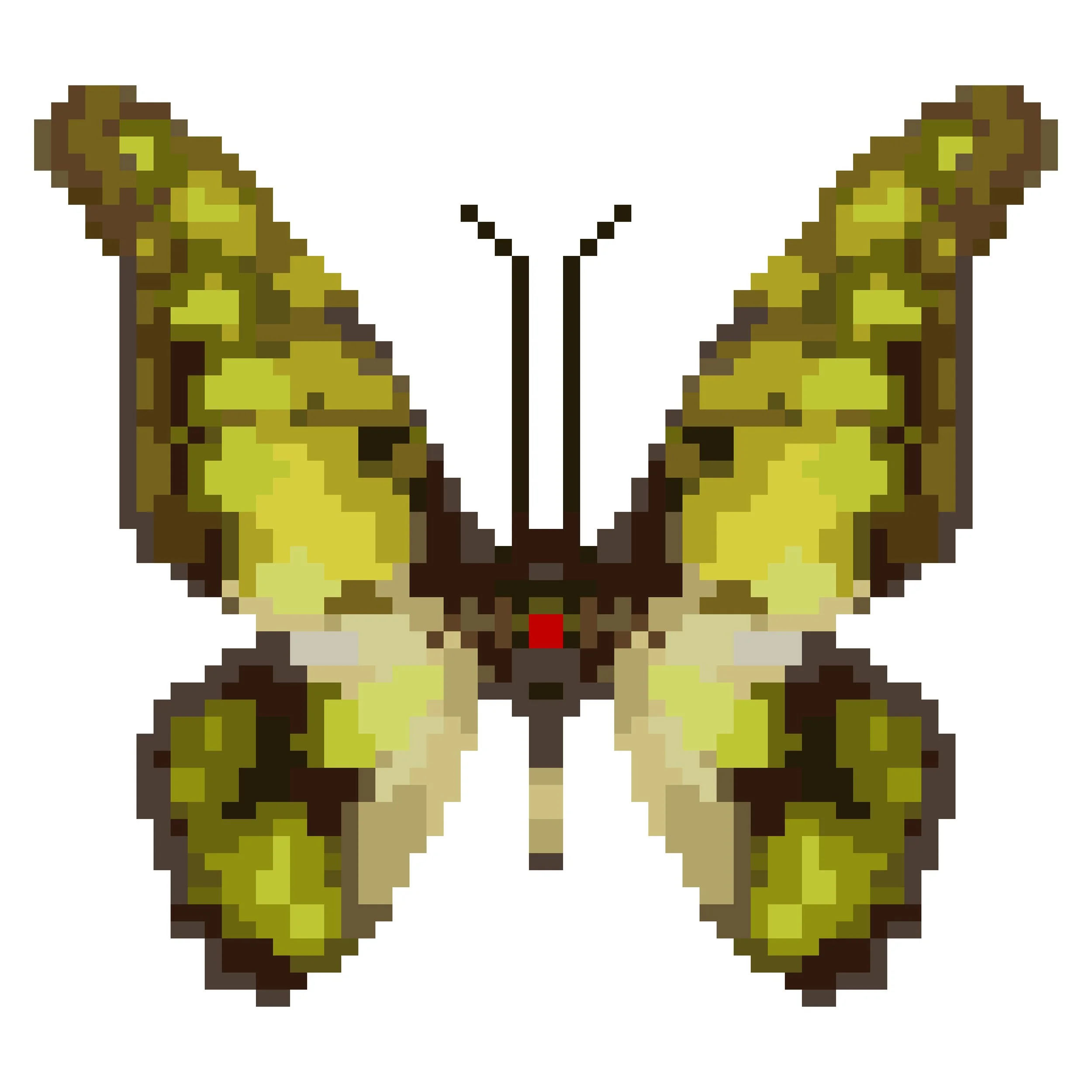 Wingpin#0121-Graphium tynderaeus.jpg