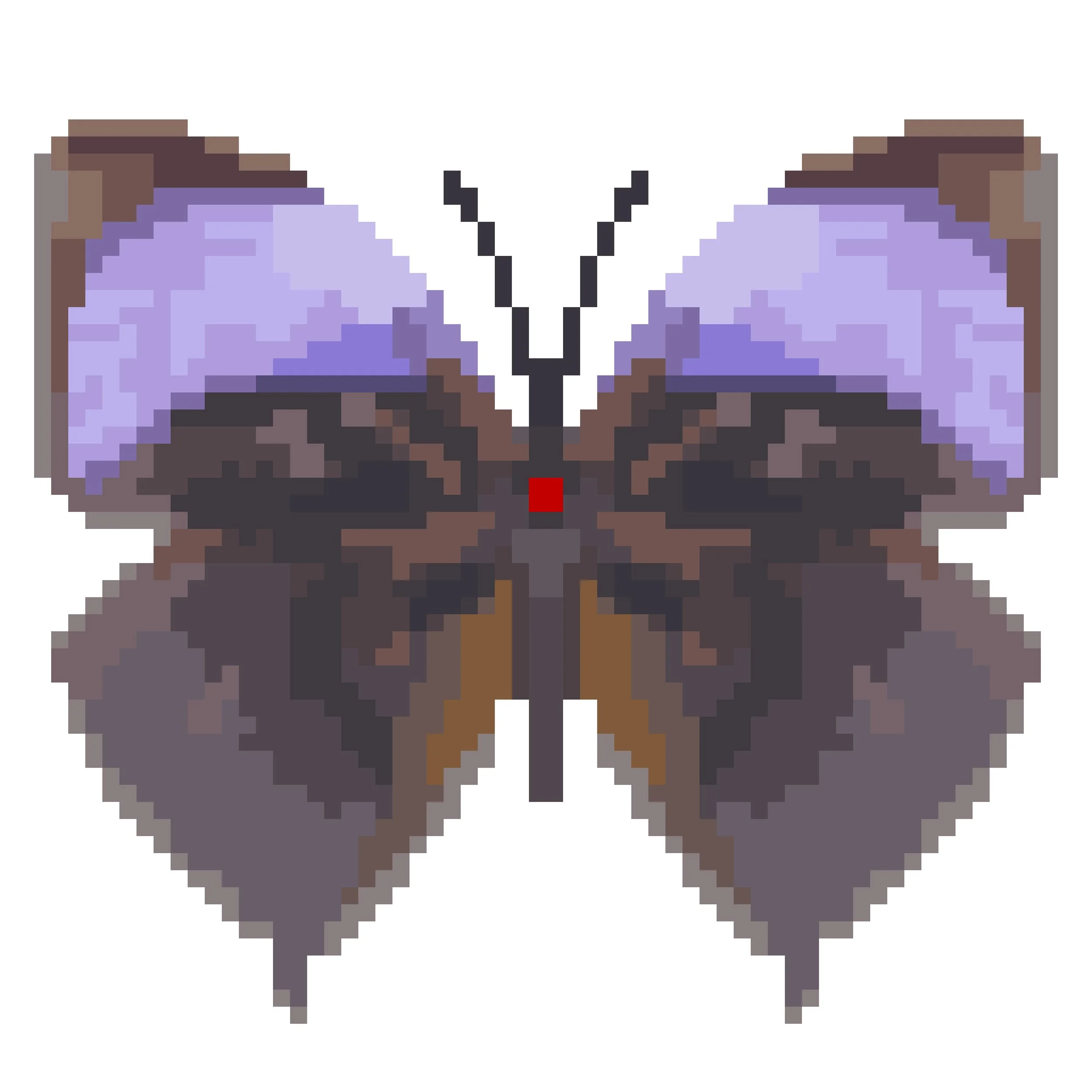 Wingpin#0532-Amathuxidia amythaon.jpg
