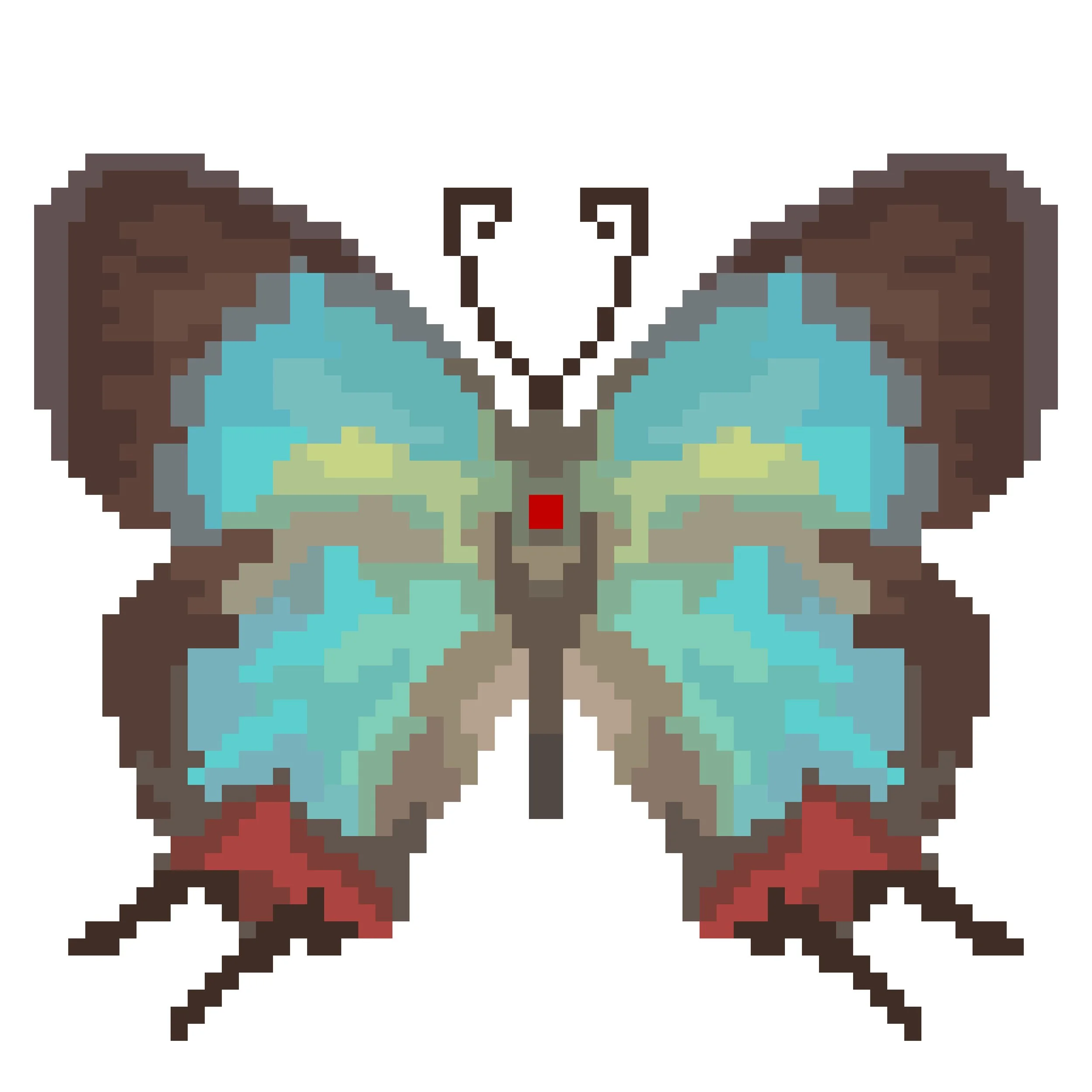 Wingpin#0800-Evenus coronata.jpg