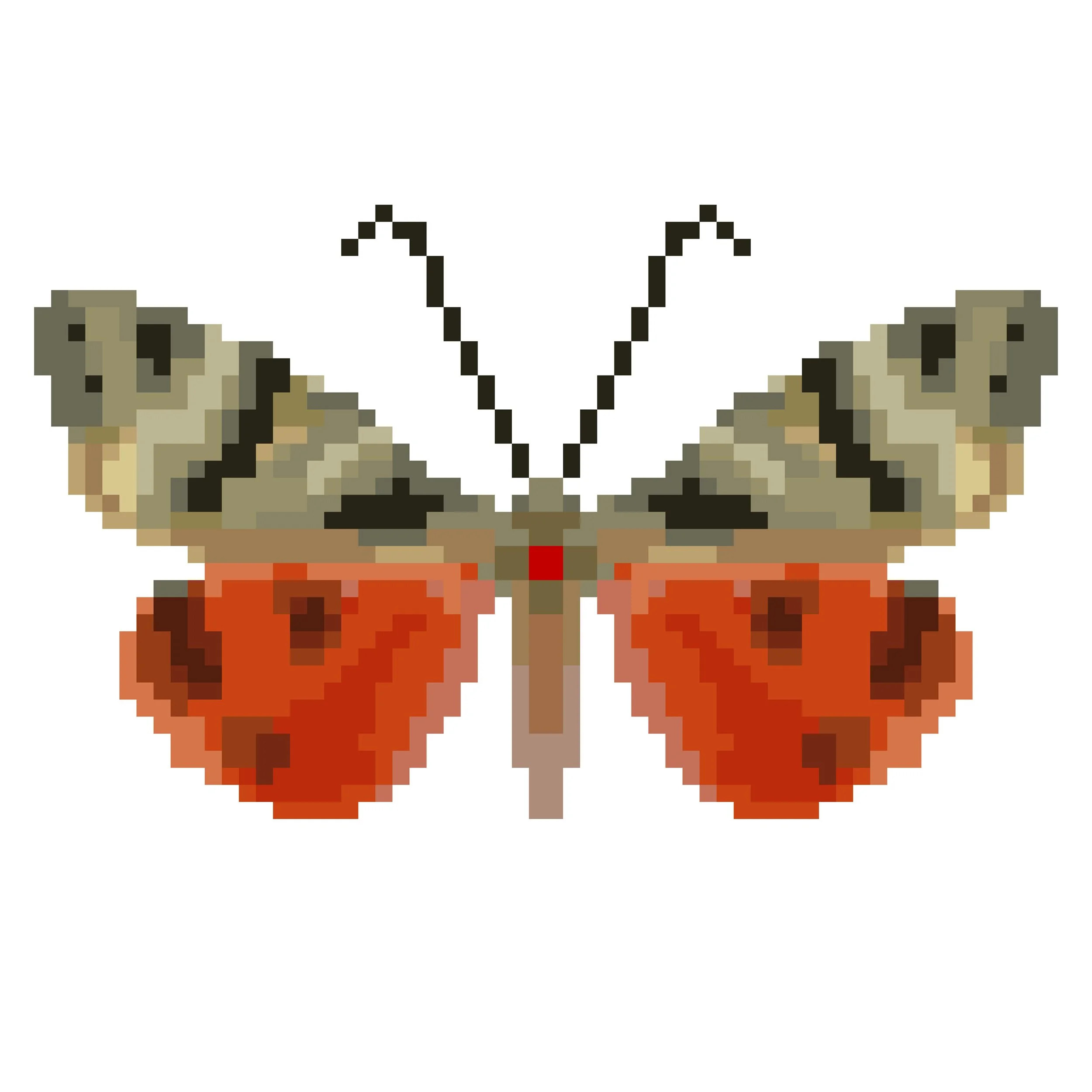 Wingpin#0178-Euplagia quadripunctaria.jpg