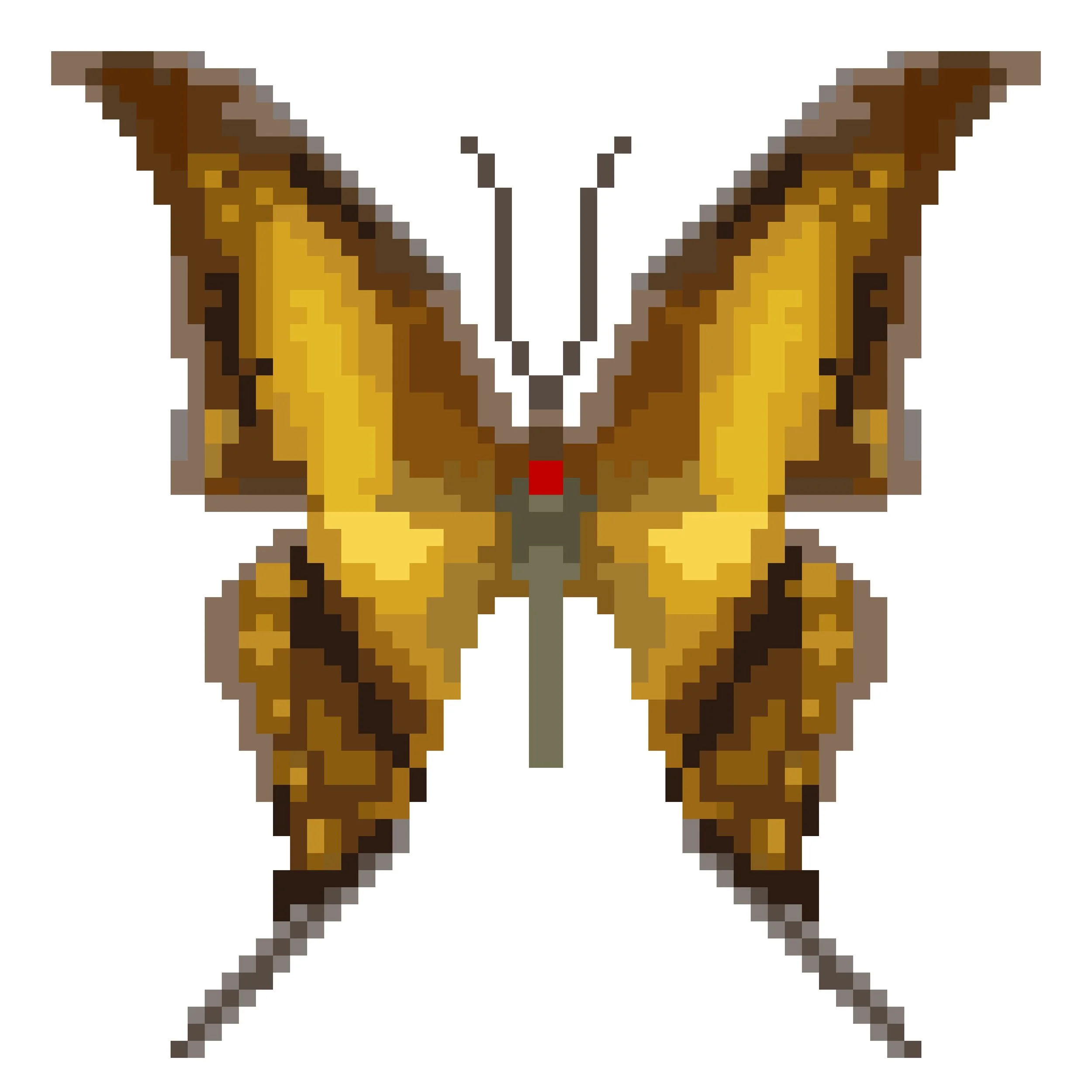 Wingpin#0439-Meandrusa payeni.jpg
