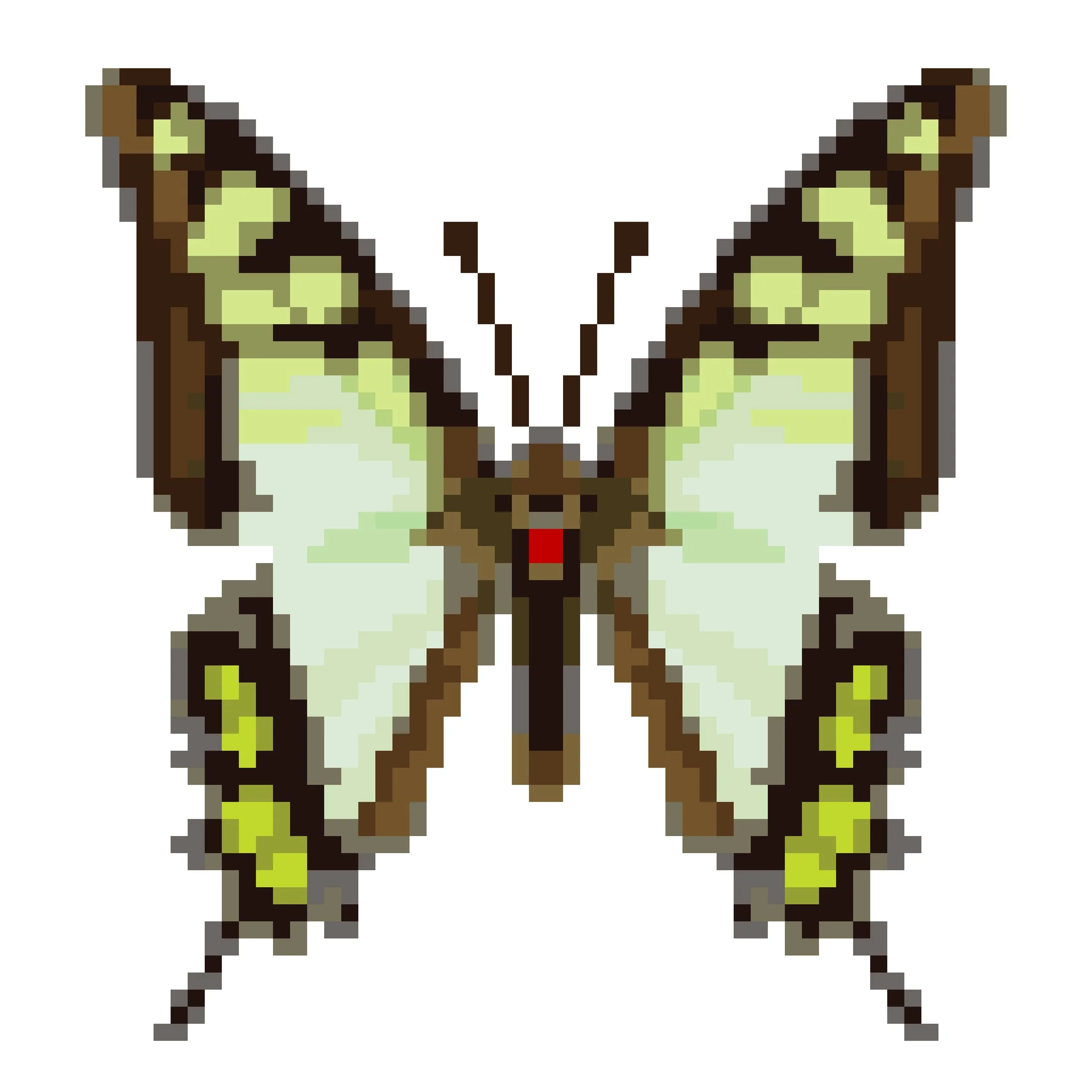 Wingpin#0465-Graphium cloanthus.jpg