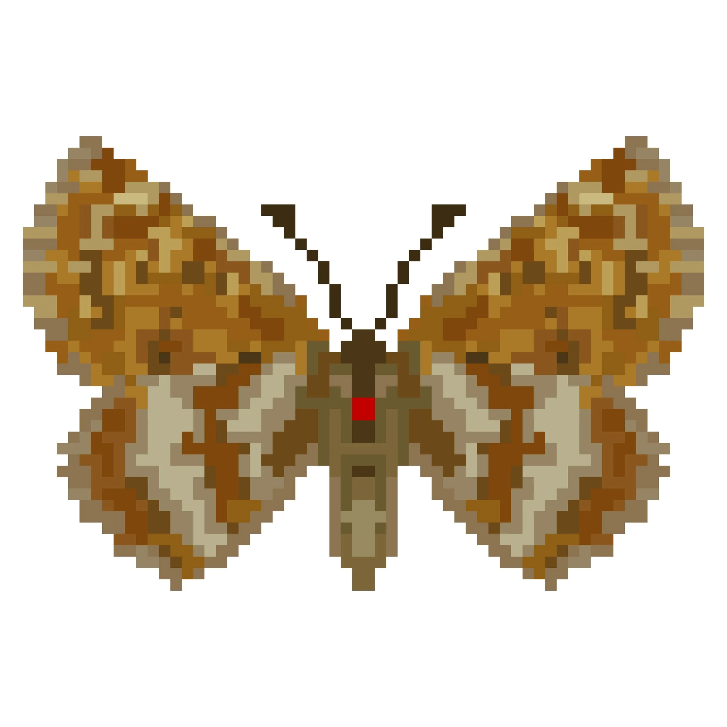 Wingpin#0260-Hamearis lucina.jpg