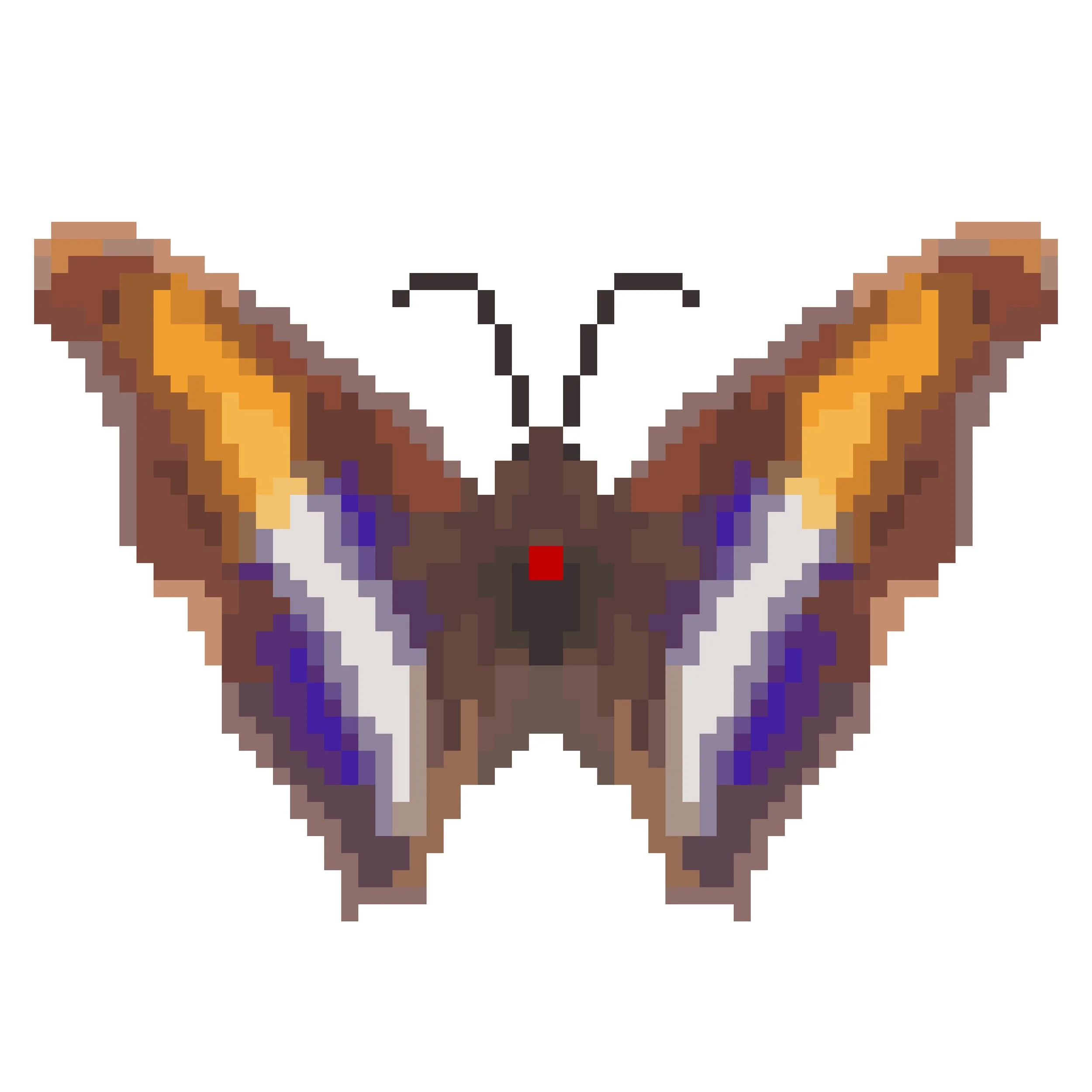 Wingpin#0870-Doxocopa laure.jpg