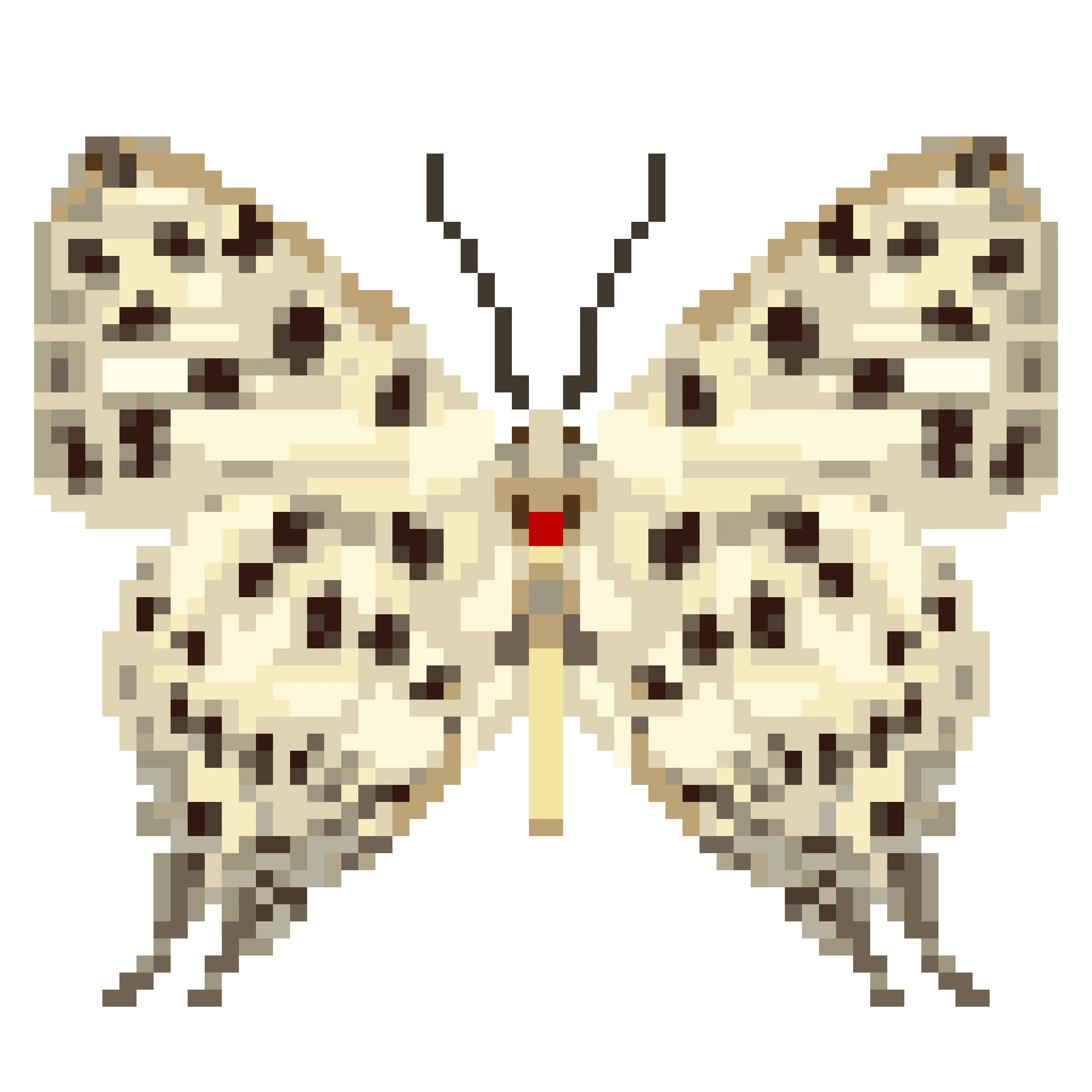 Wingpin#0294-Tajuria maculata.jpg