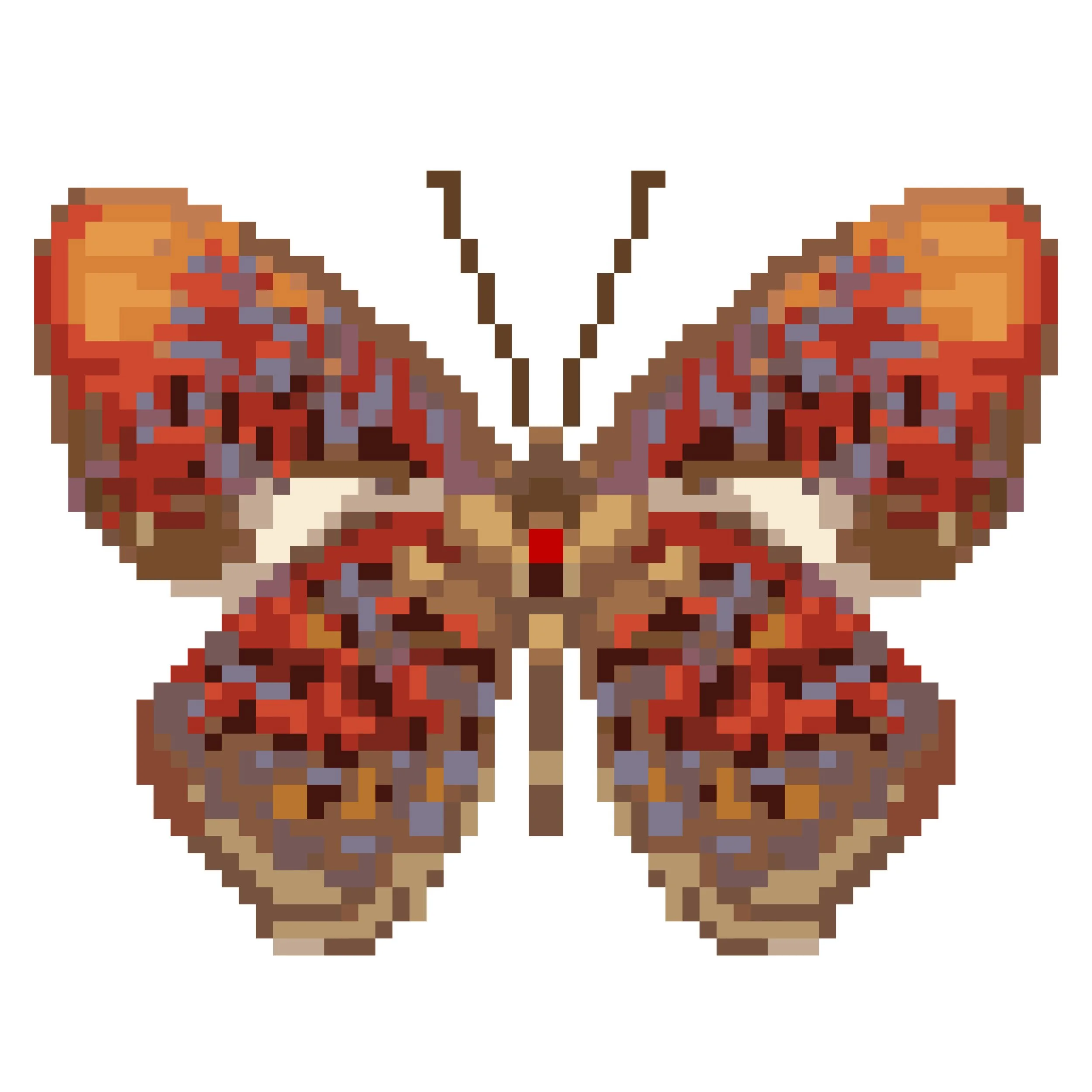 Wingpin#0401-Paralaxita telesia lyclene.jpg