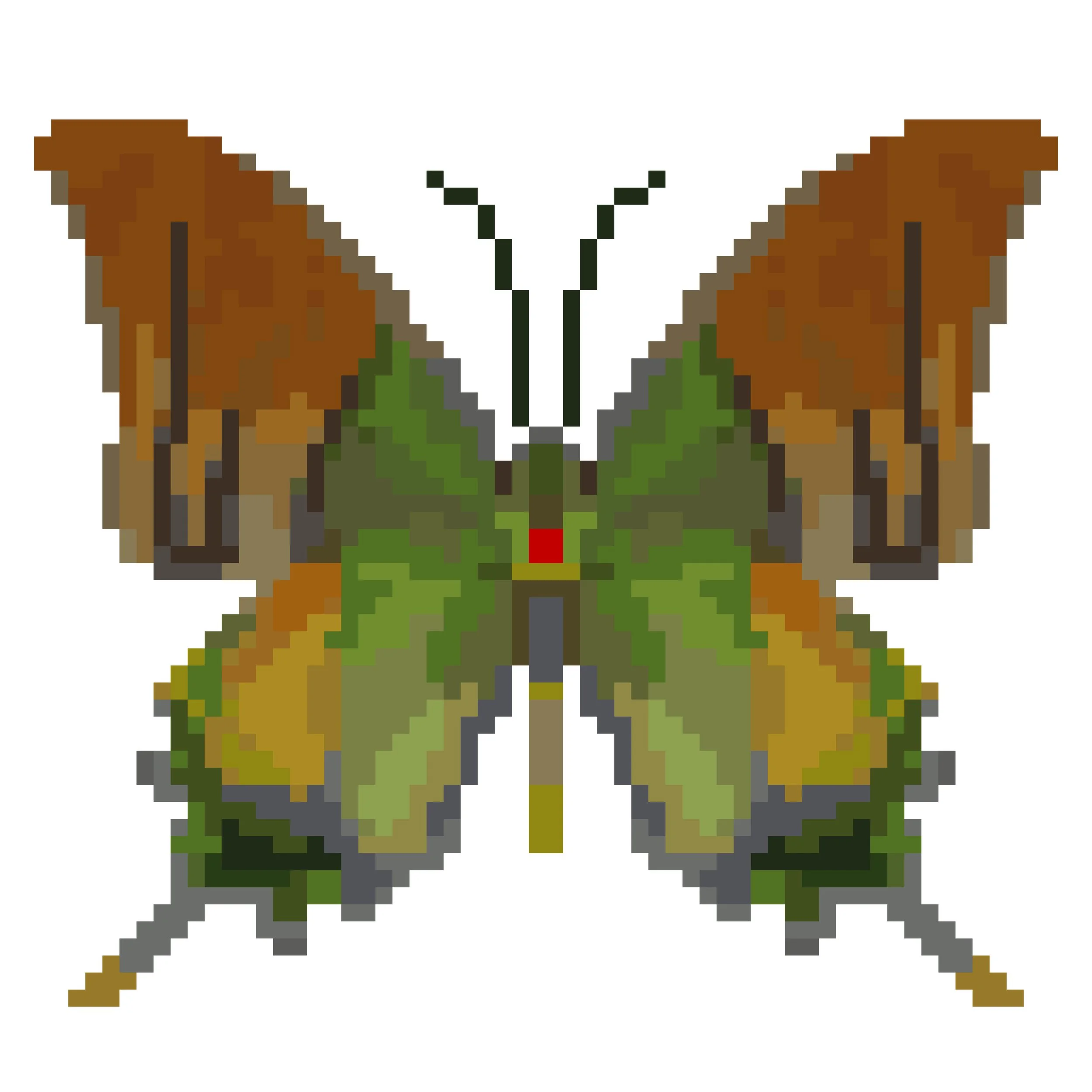 Wingpin#0500-Teinopalpus imperialis.jpg