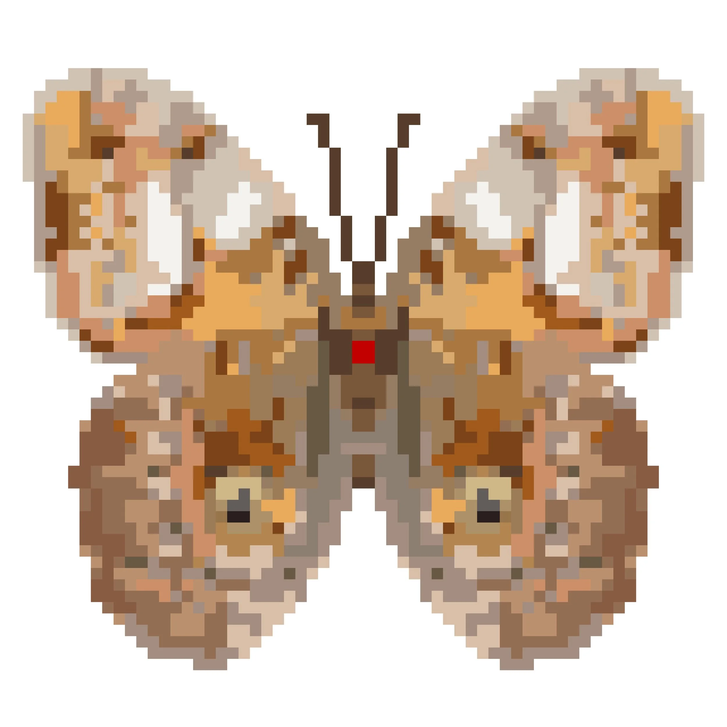 Wingpin#0119-Caligo martia.jpg