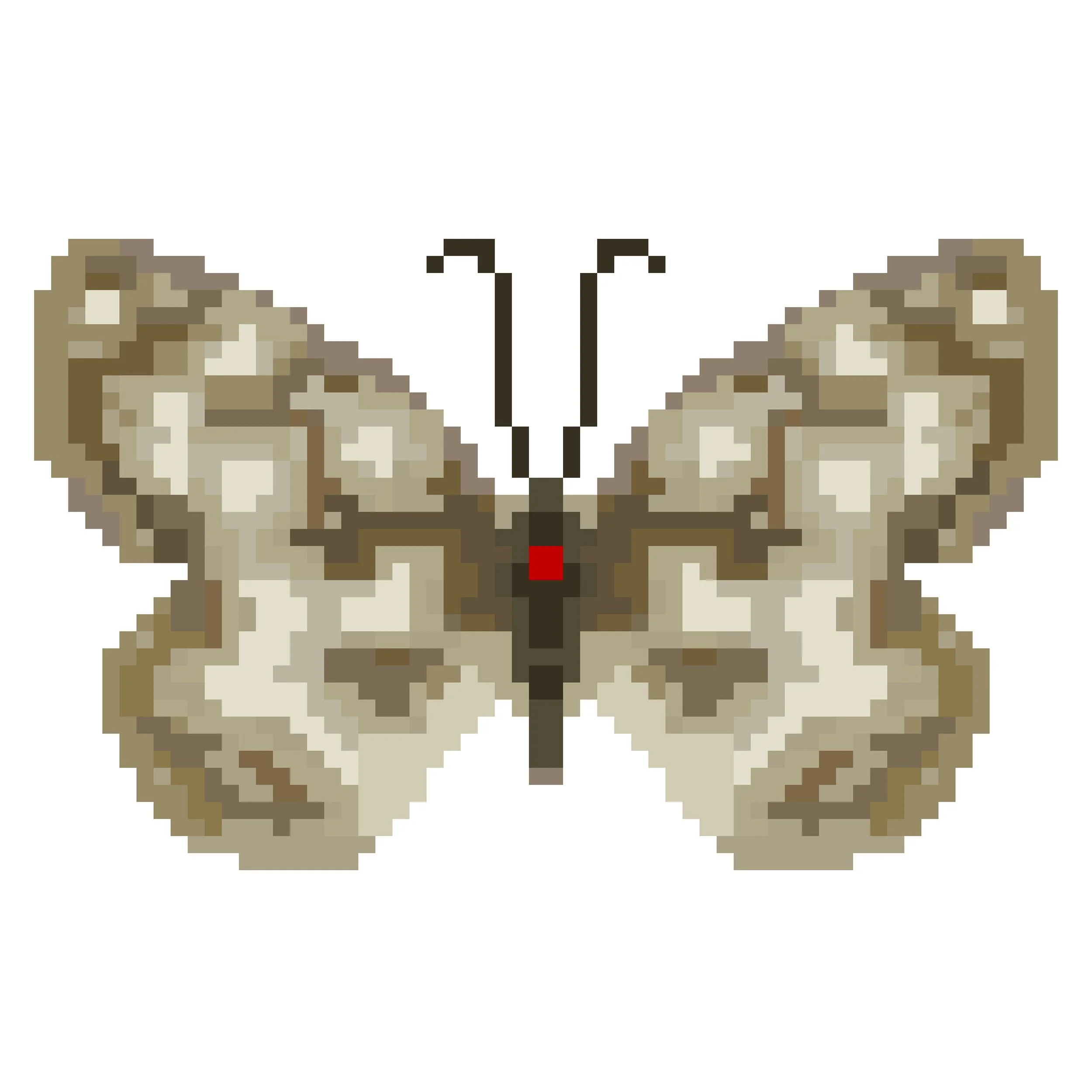 Wingpin#0209-Melanargia galathea.jpg