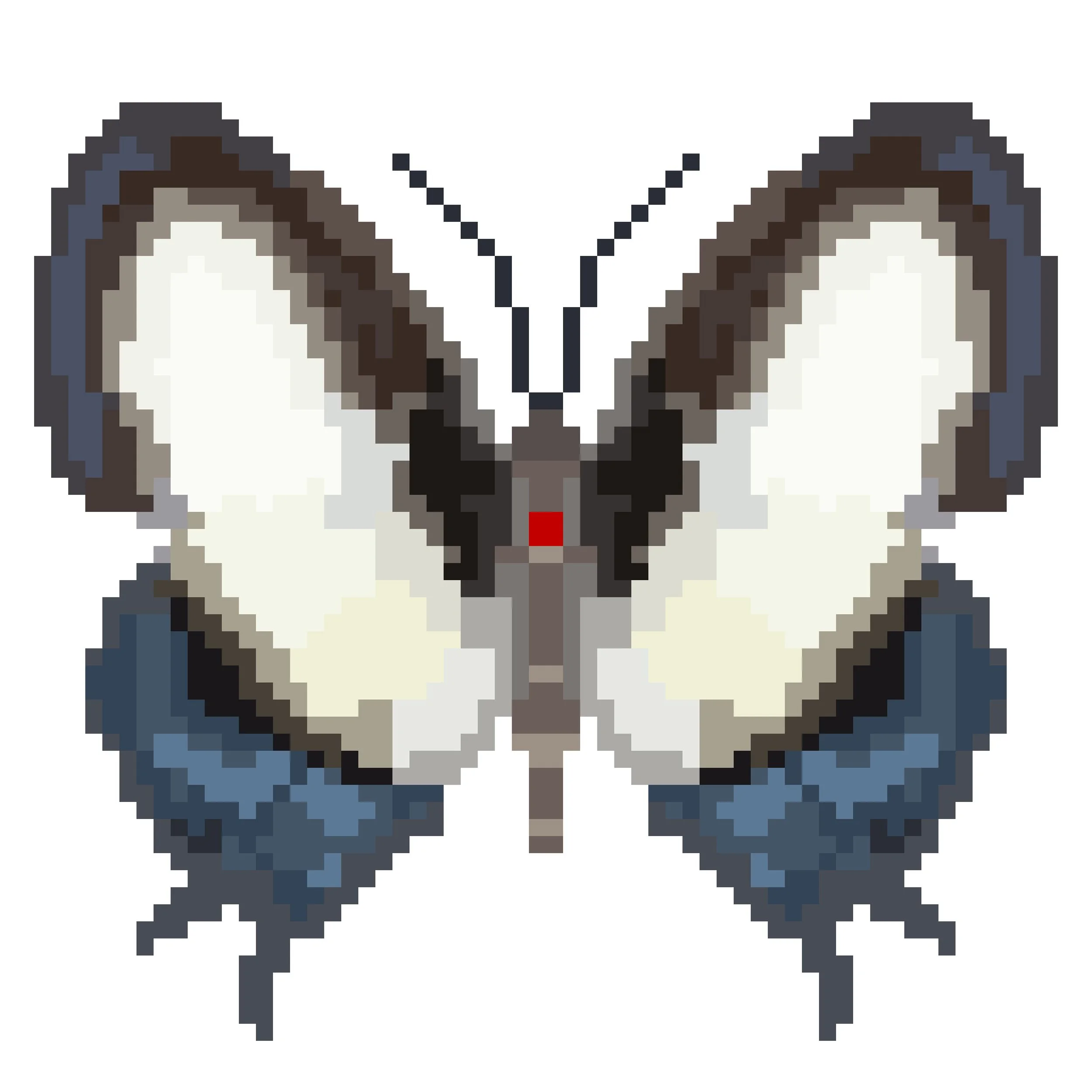 Wingpin#0871-Hypolycaena danis.jpg