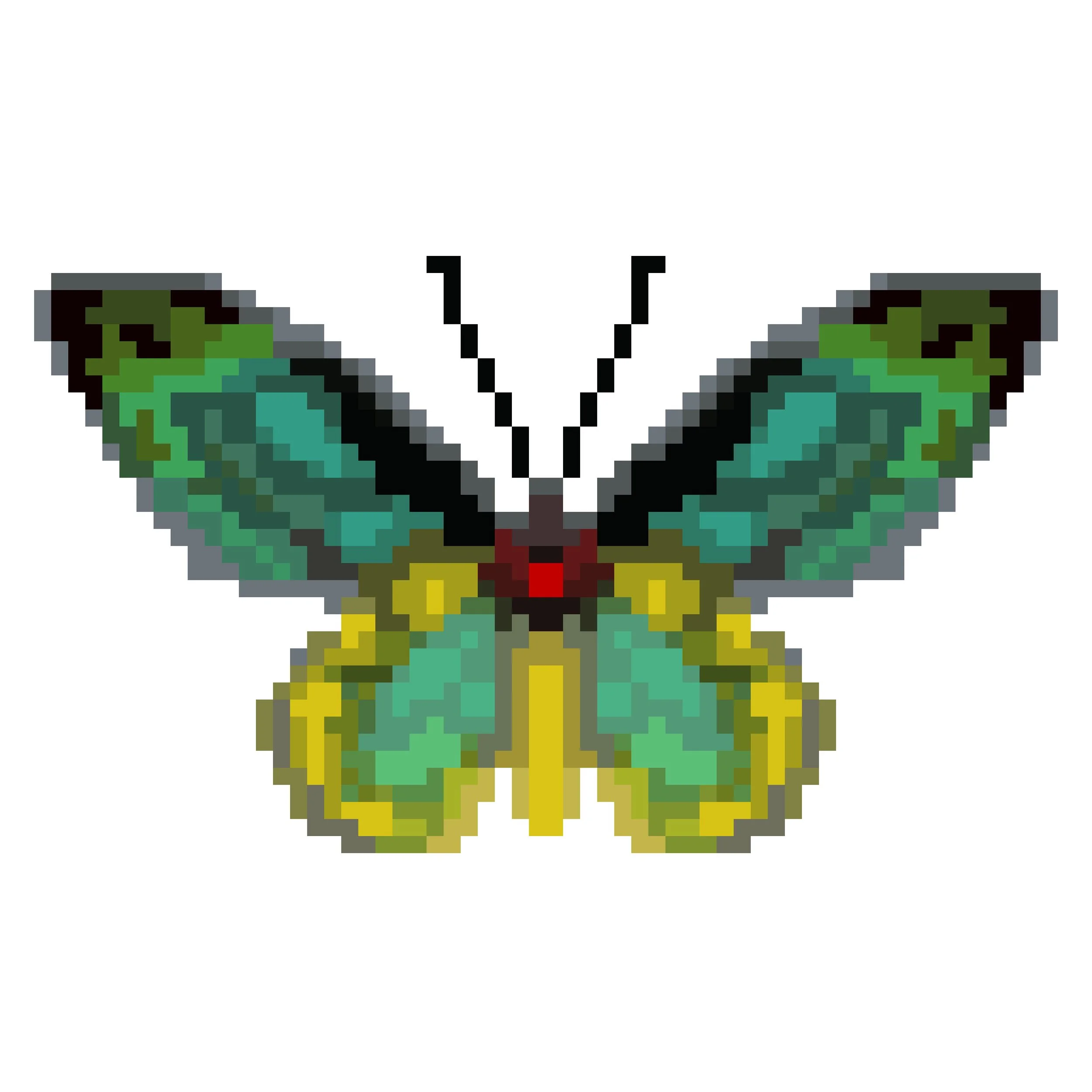 Wingpin#0599-Ornithoptera euphorion.jpg