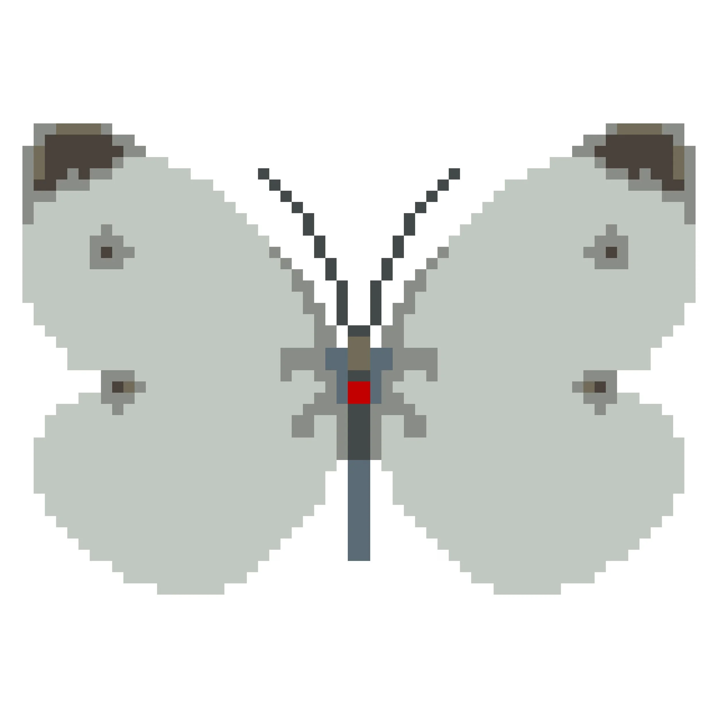 Wingpin#0011-Pieris mannii.jpg
