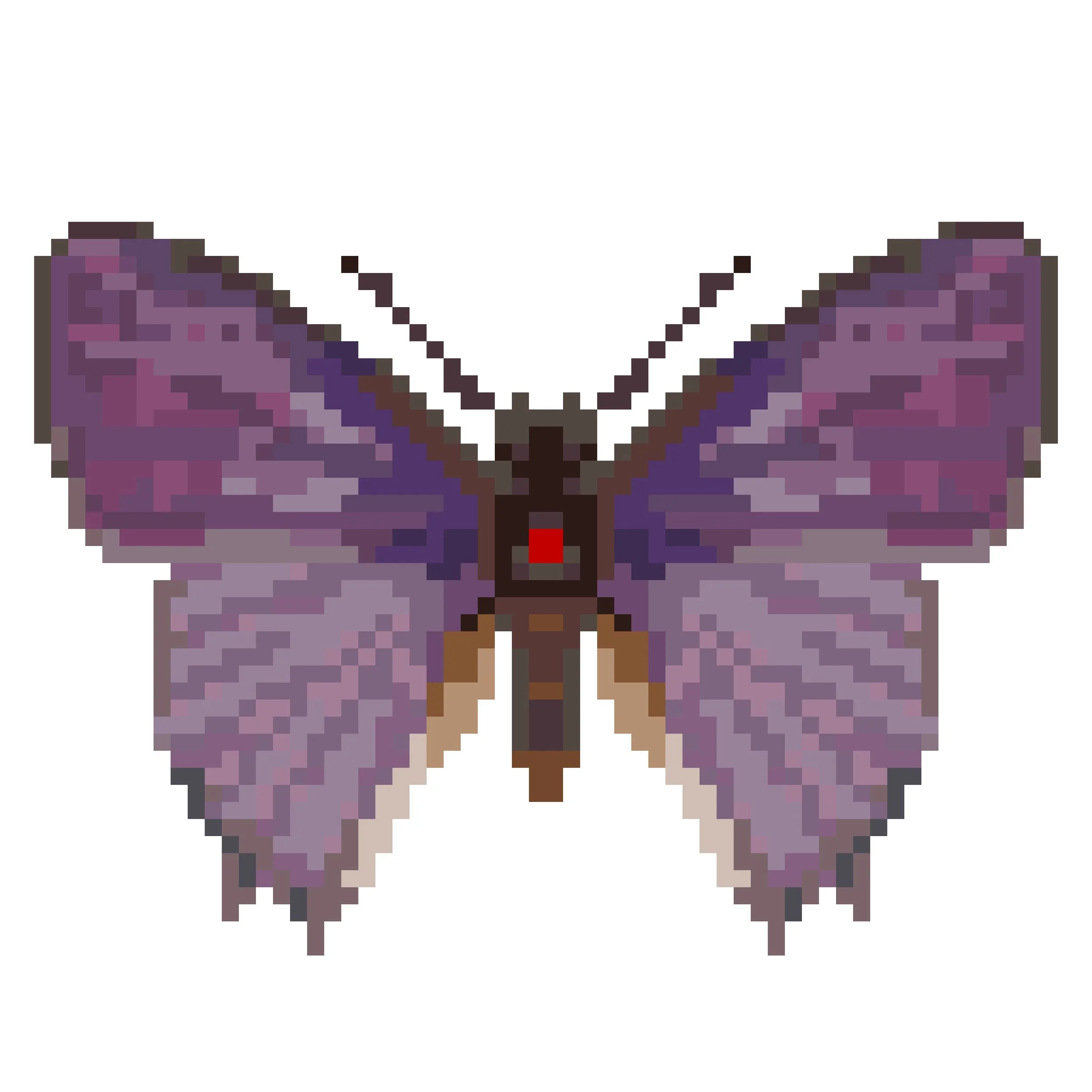 Wingpin#0193-Anthene larydas.jpg