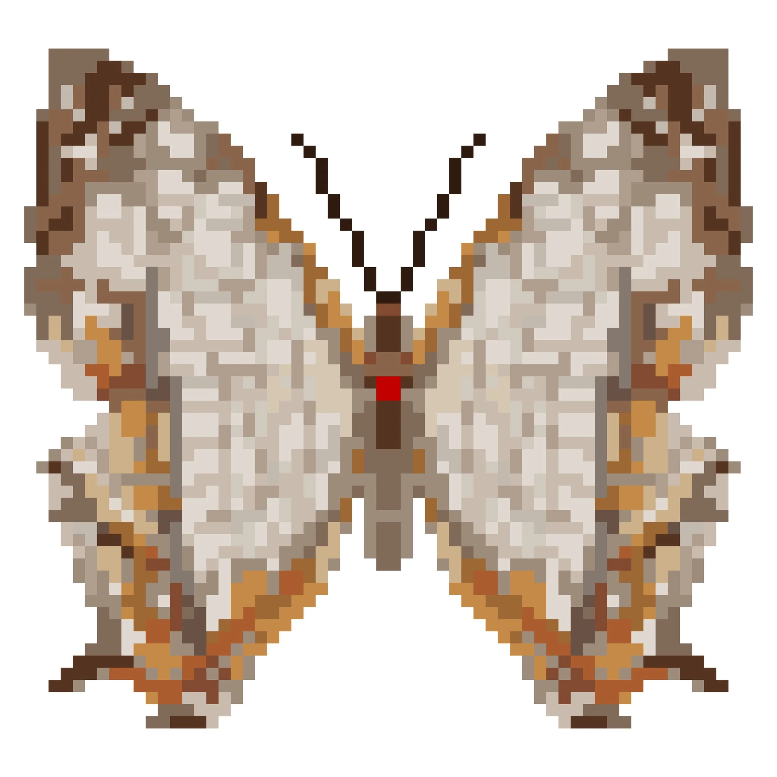Wingpin#0306-Cyrestis thyodamas.jpg