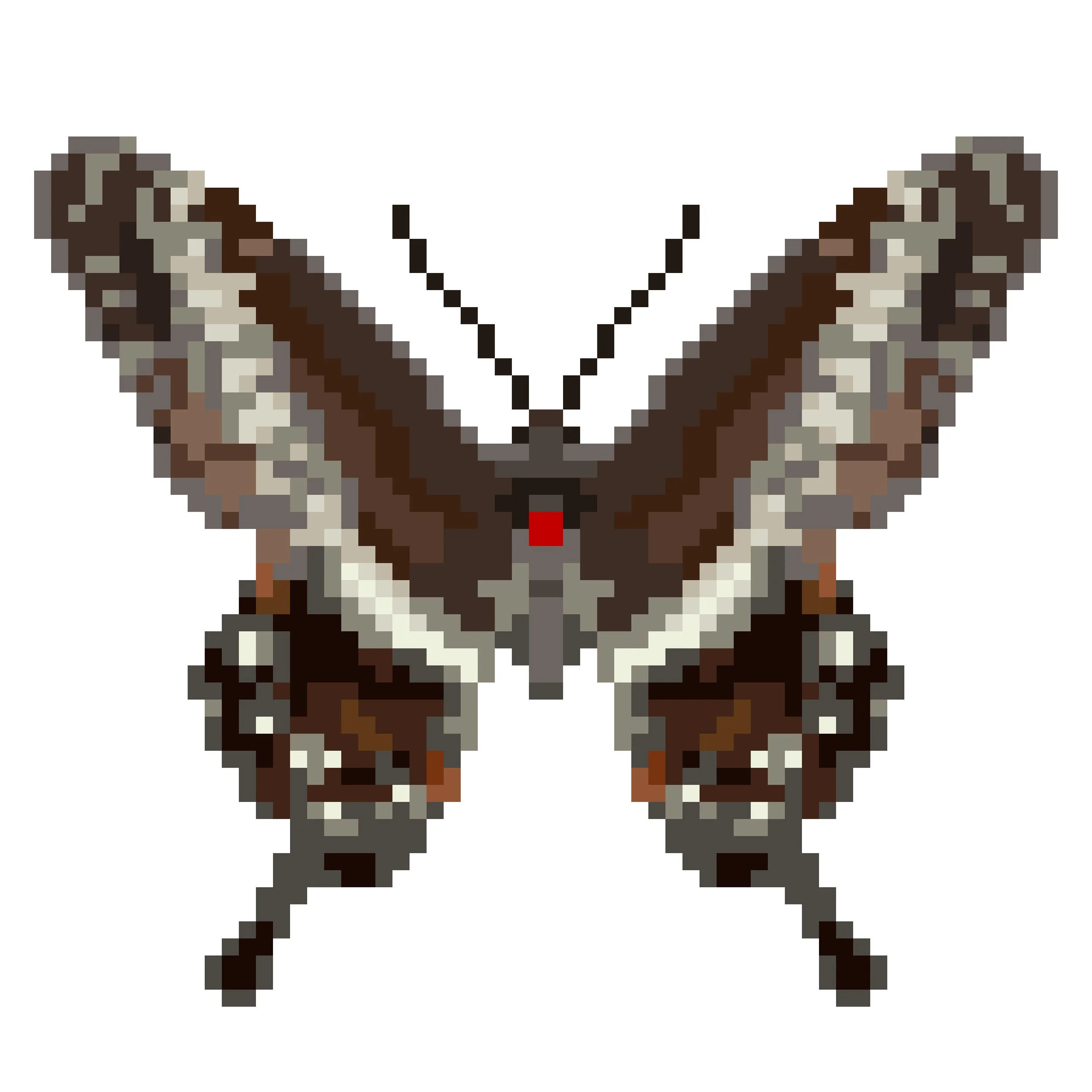 Wingpin#0146-Papilio lormieri.jpg