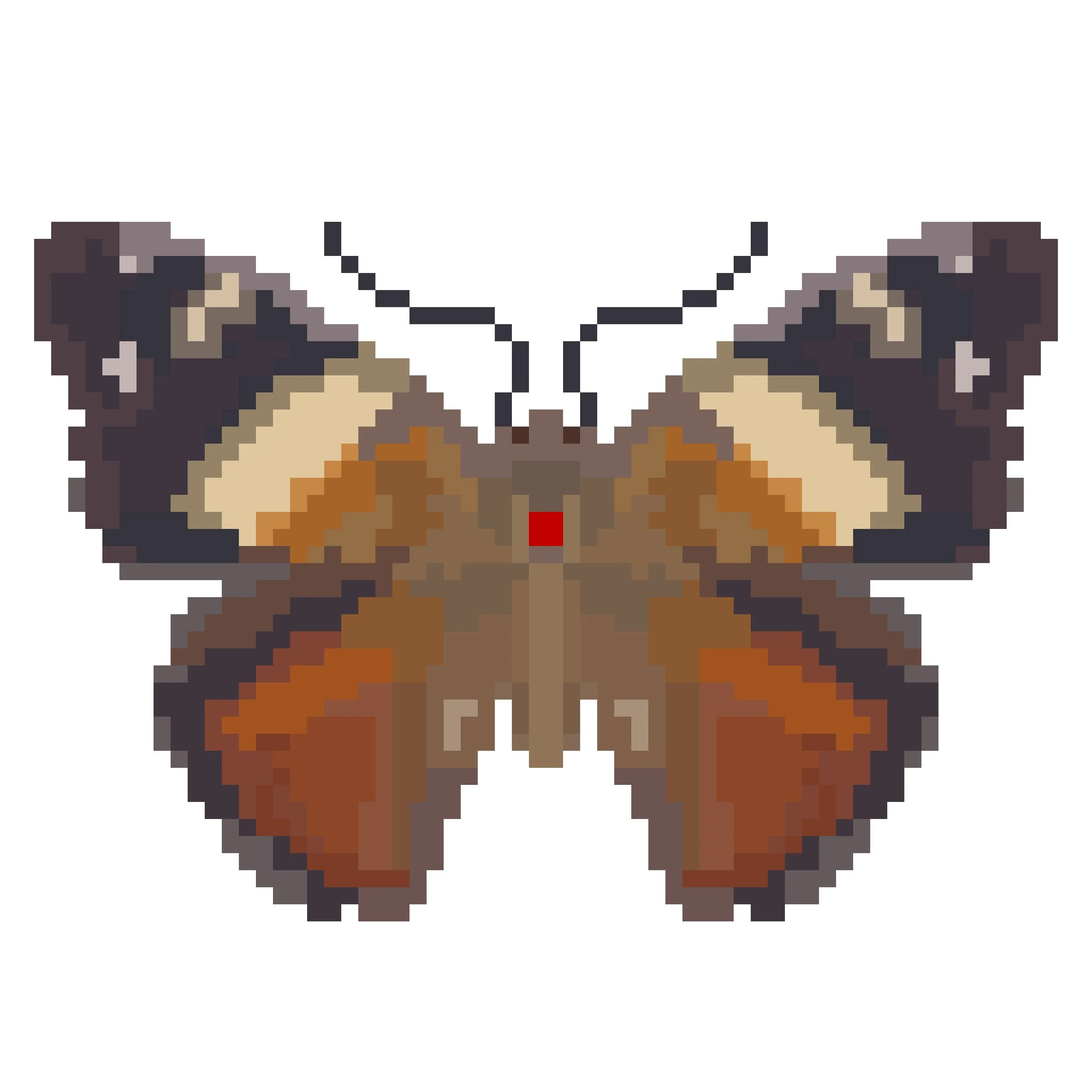 Wingpin#0694-Vanessa itea.jpg