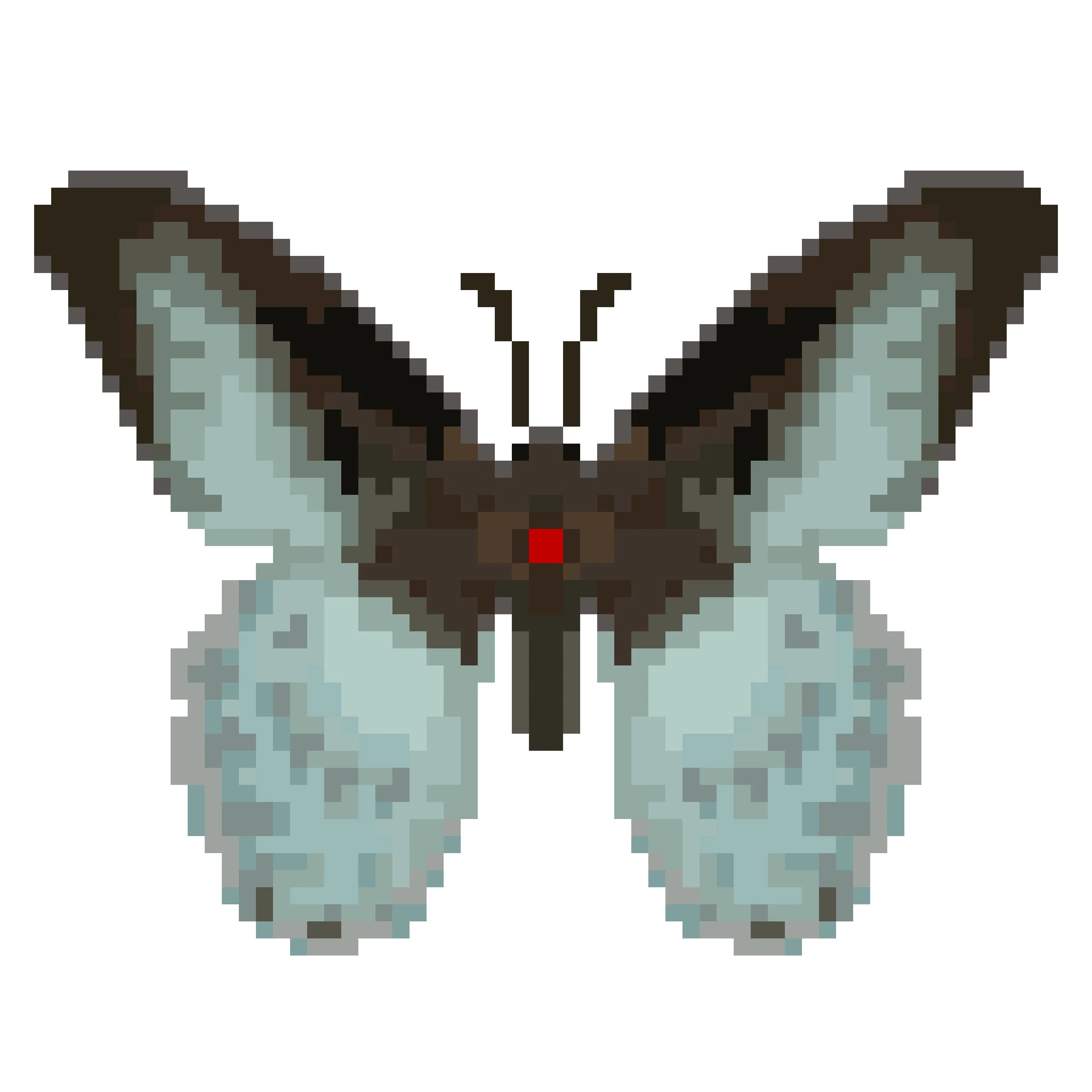 Wingpin#0239-Papilio polymnestor.jpg